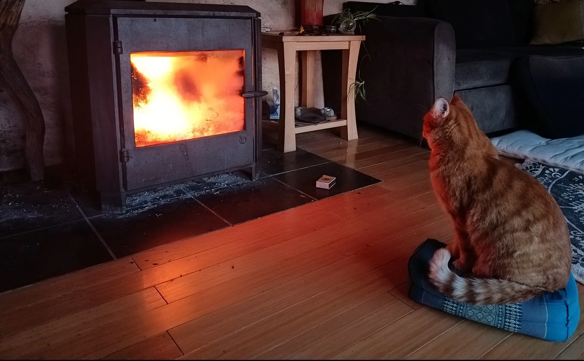 Entre chaleureux et chat l'heureux, il n'y a pas grand chose 🥰 

#jeudemotsaucoindufeu
#LesJeuxDeMauxDeMargaux