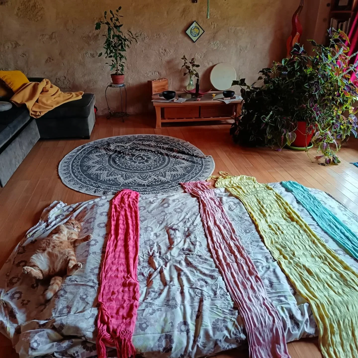 Entre rebozo y reposo, hay un gato 🥰 

#soinrituel #passagedevie #findecycle #viedefemme #naissance #renaissance #ressourcement #sororit&eacute; #chaleur #puissancedansladouceur 
#rebozo #rebozogironde 
#rebozolibourne

@rebozo.33
@les.ensourceleuse