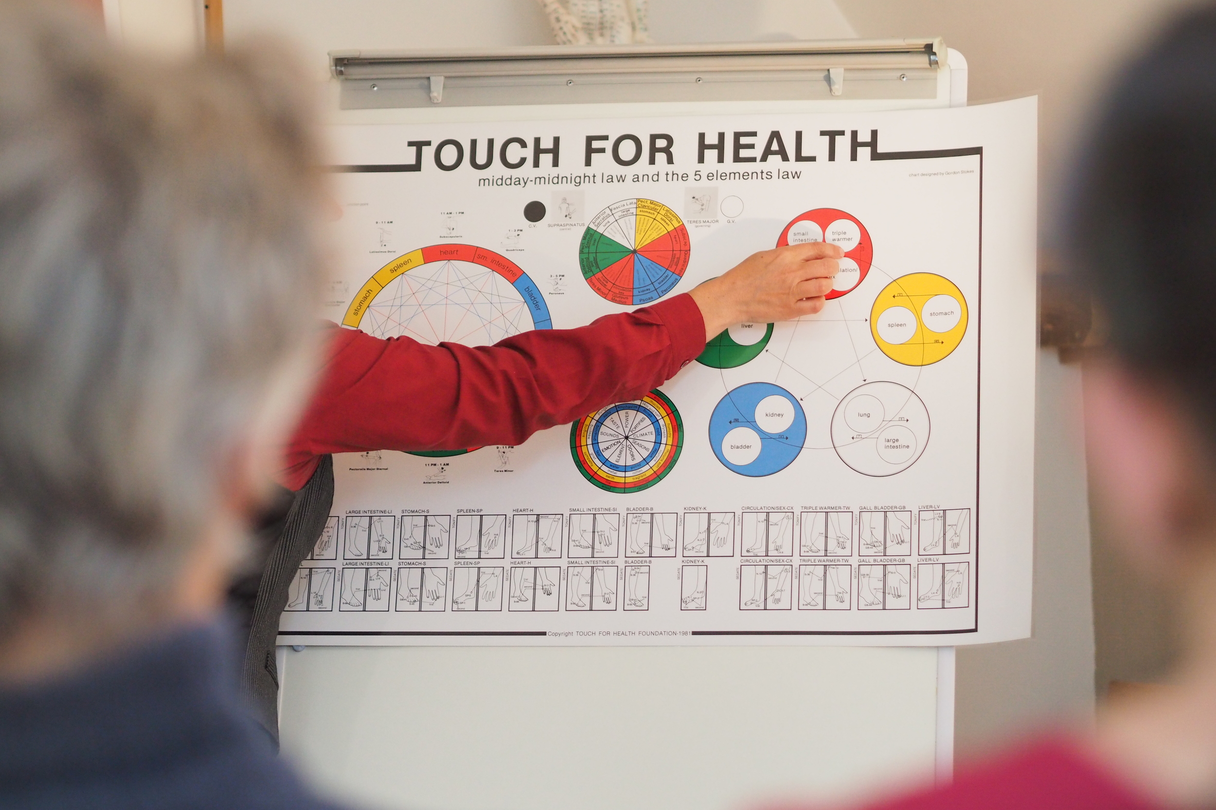 Touch for Health: Level III