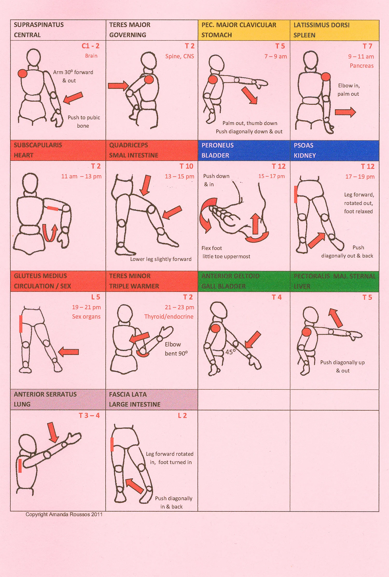 Touch for Health Chart