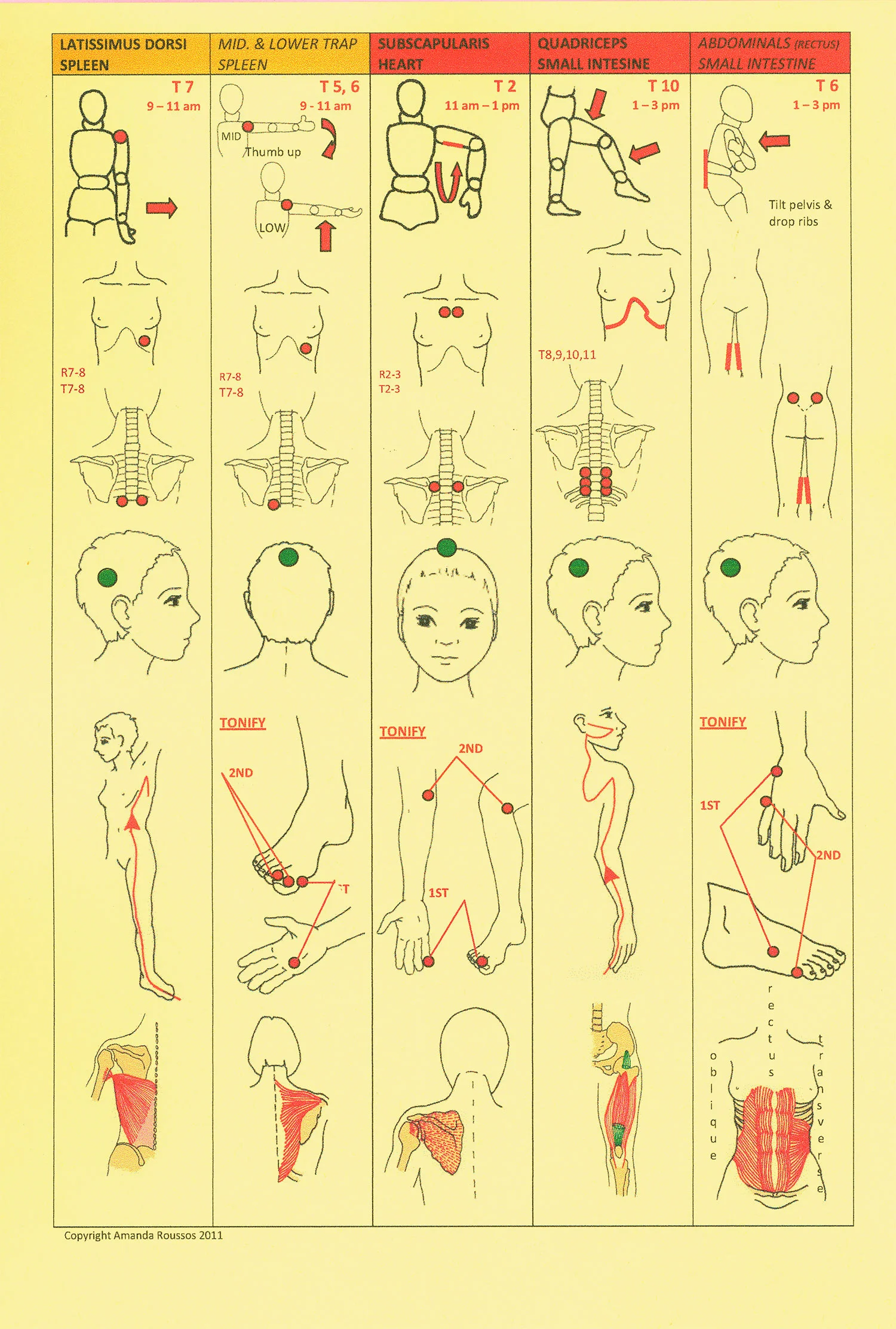 Touch for Health Kinesiology Chart