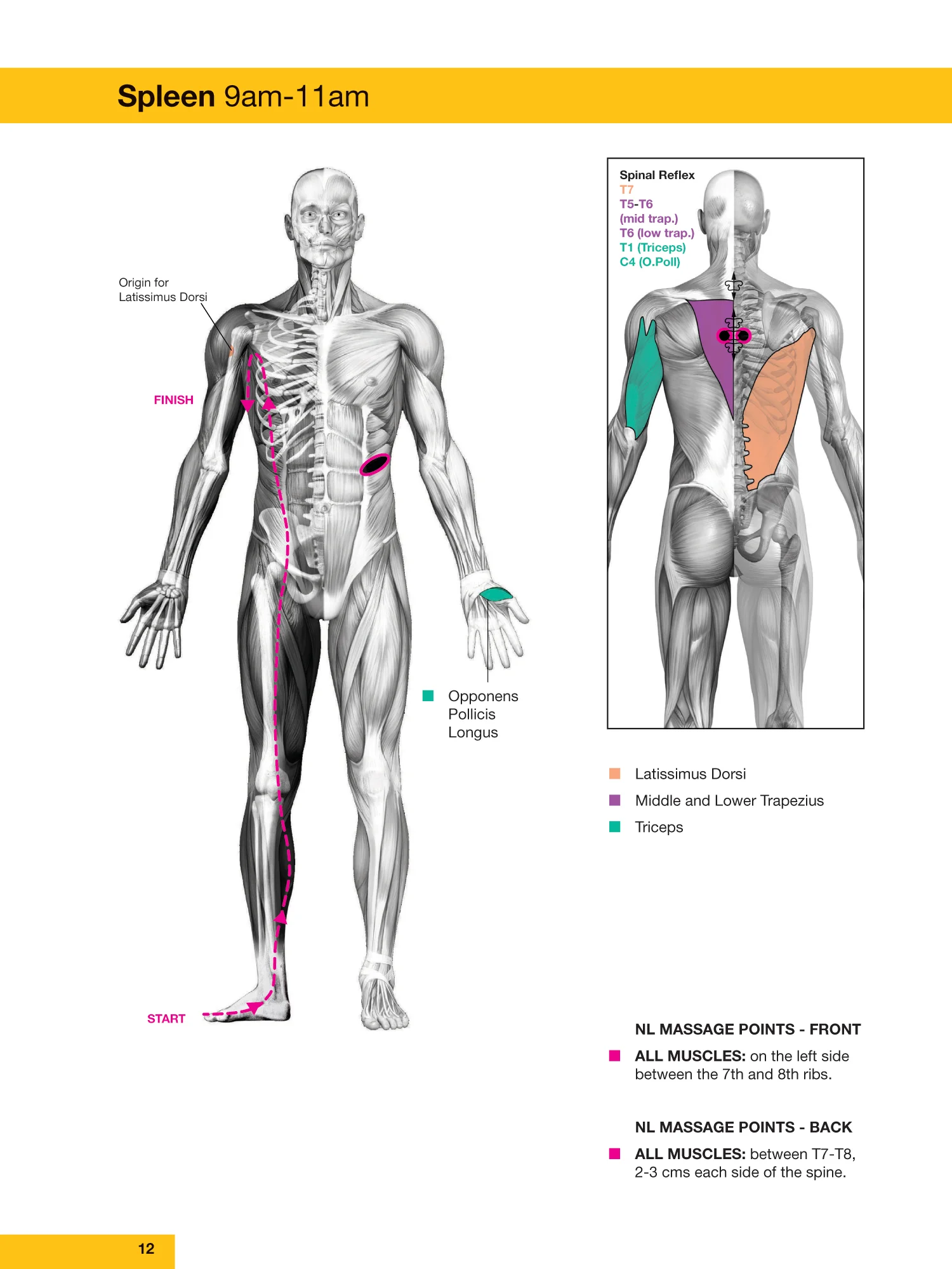 Touch for Health Book