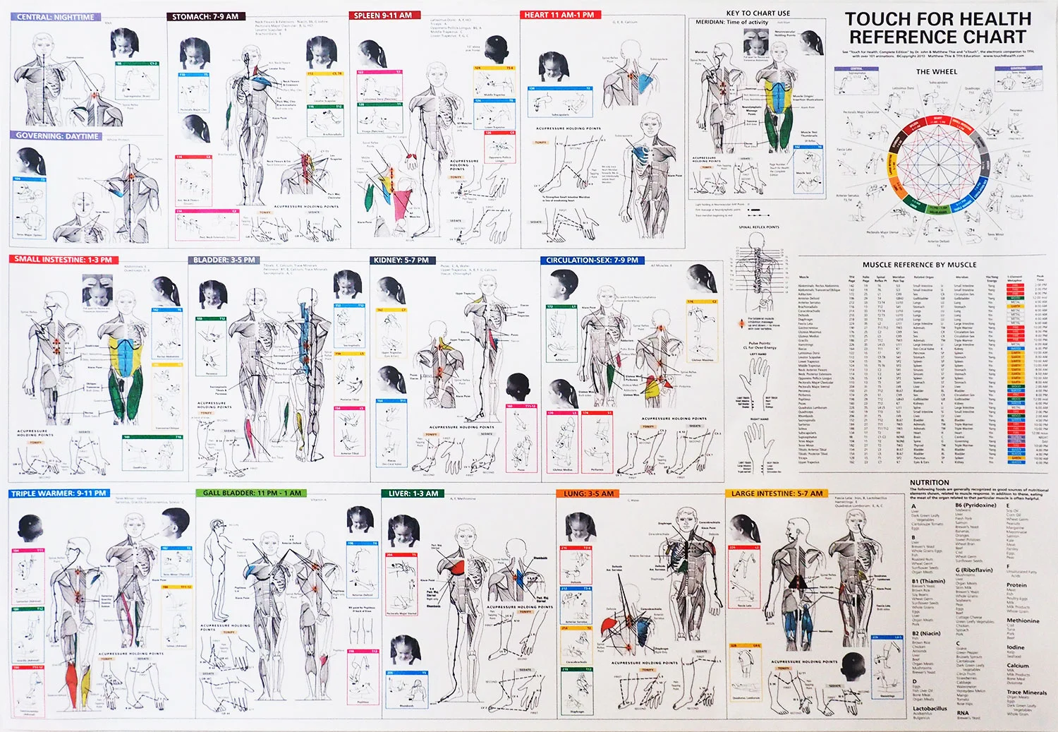 TFH Reference Wall Chart