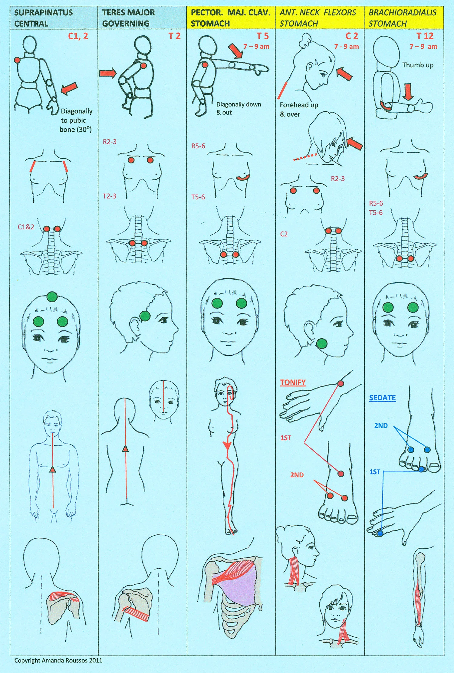 Touch for Health Kinesiology Chart
