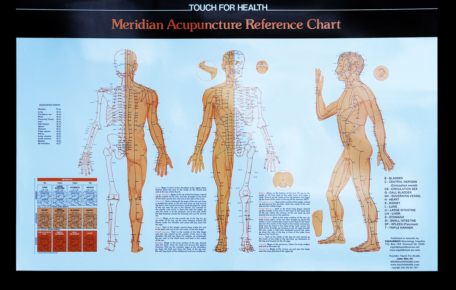 Touch for Health Acupuncture Chart