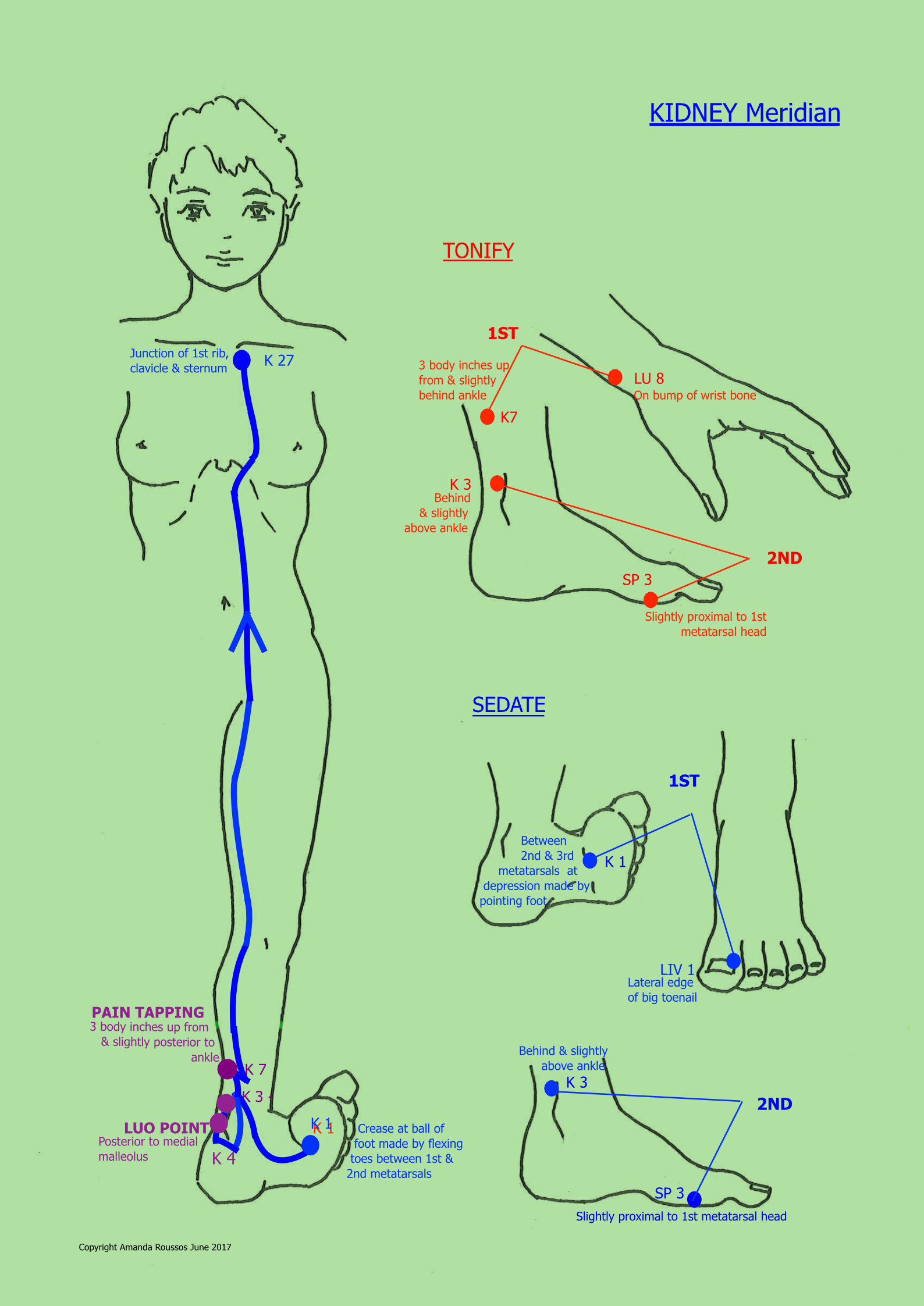 8. KIDNEY 2.jpg