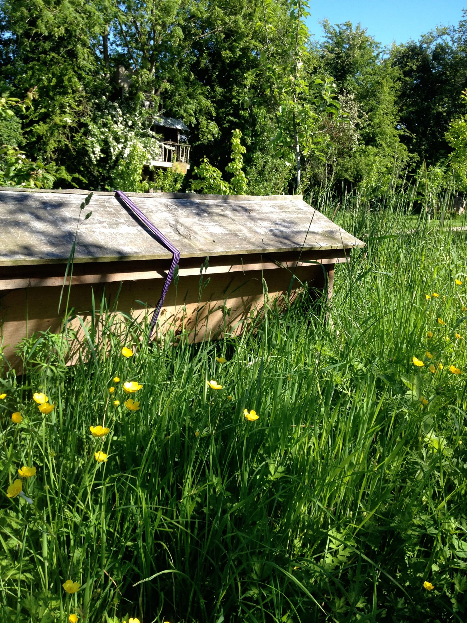 An old wooden boat resting on tall green grass with yellow flowers, surrounded by lush trees and a blue sky.