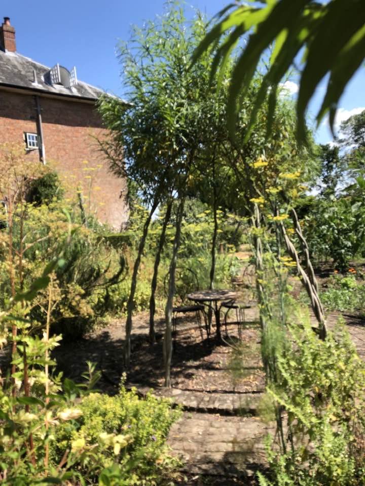 A garden scene with a makeshift archway made of thin wooden sticks, with a small round table and two chairs underneath, surrounded by lush green plants and trees under a blue sky.