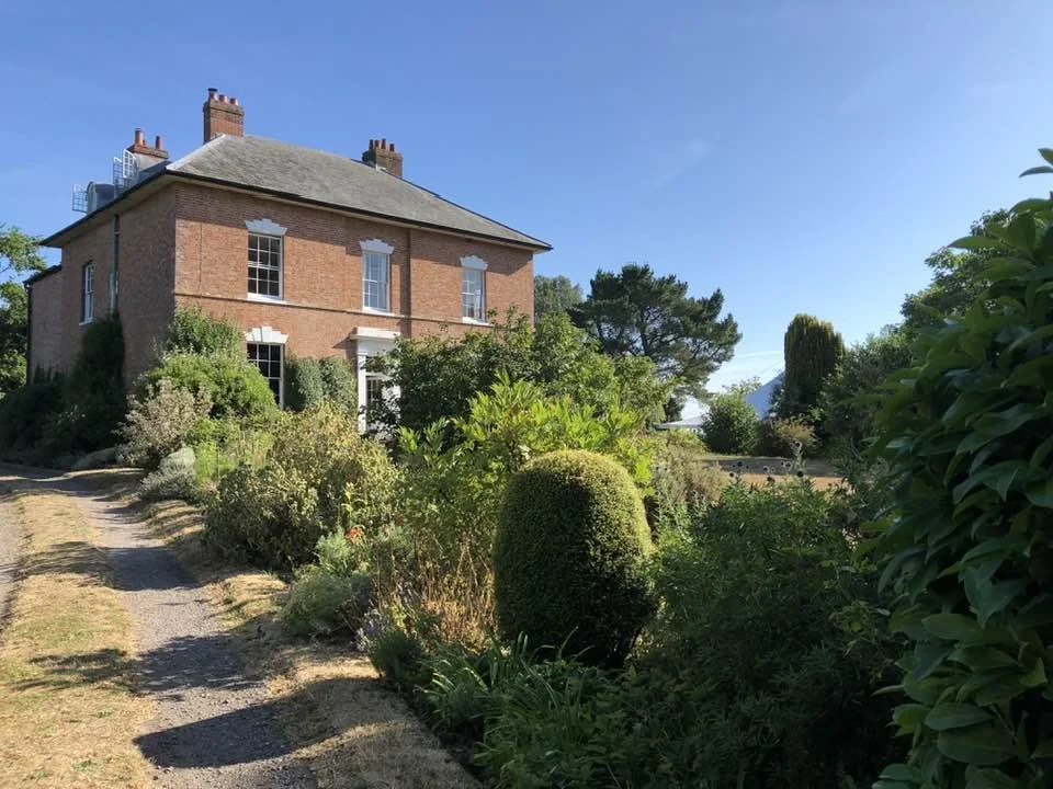 A brick house surrounded by lush green plants and a dirt pathway on a sunny day.