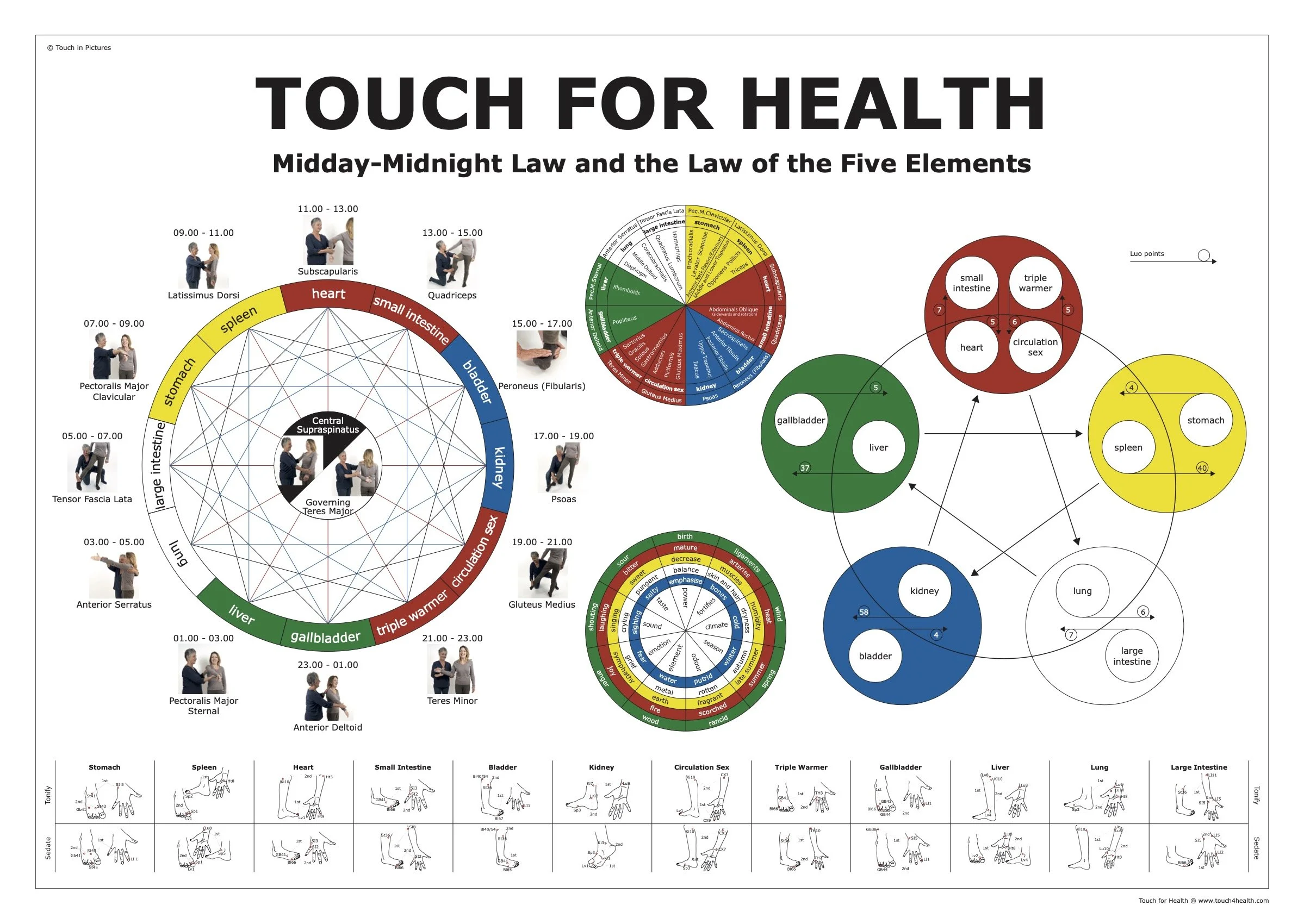 Touch for Health 5 Element and Wheel Chart