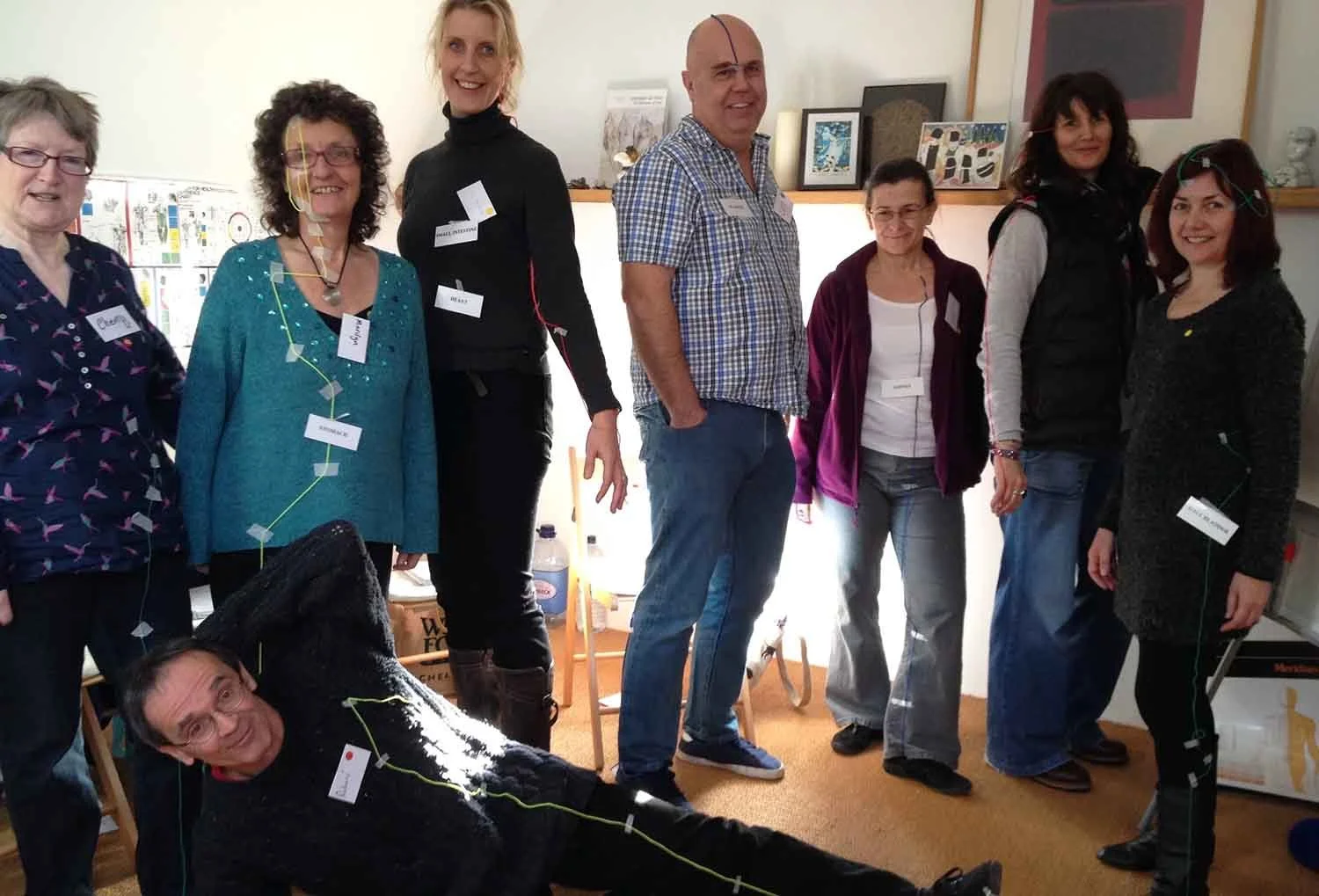 Why I Love Teaching Touch for Health Kinesiology