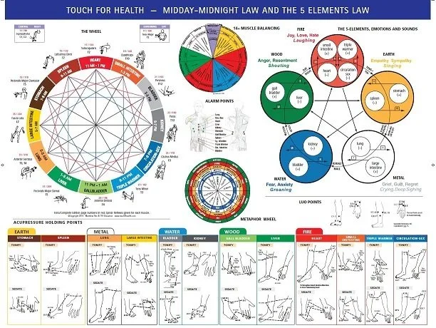 TOUCH FOR HEALTH ACUPUNCTURE CHART/5 ELEMENT CHART