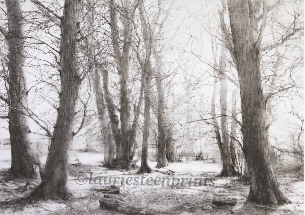 A black and white photo of leafless trees in a winter landscape with snow on the ground.