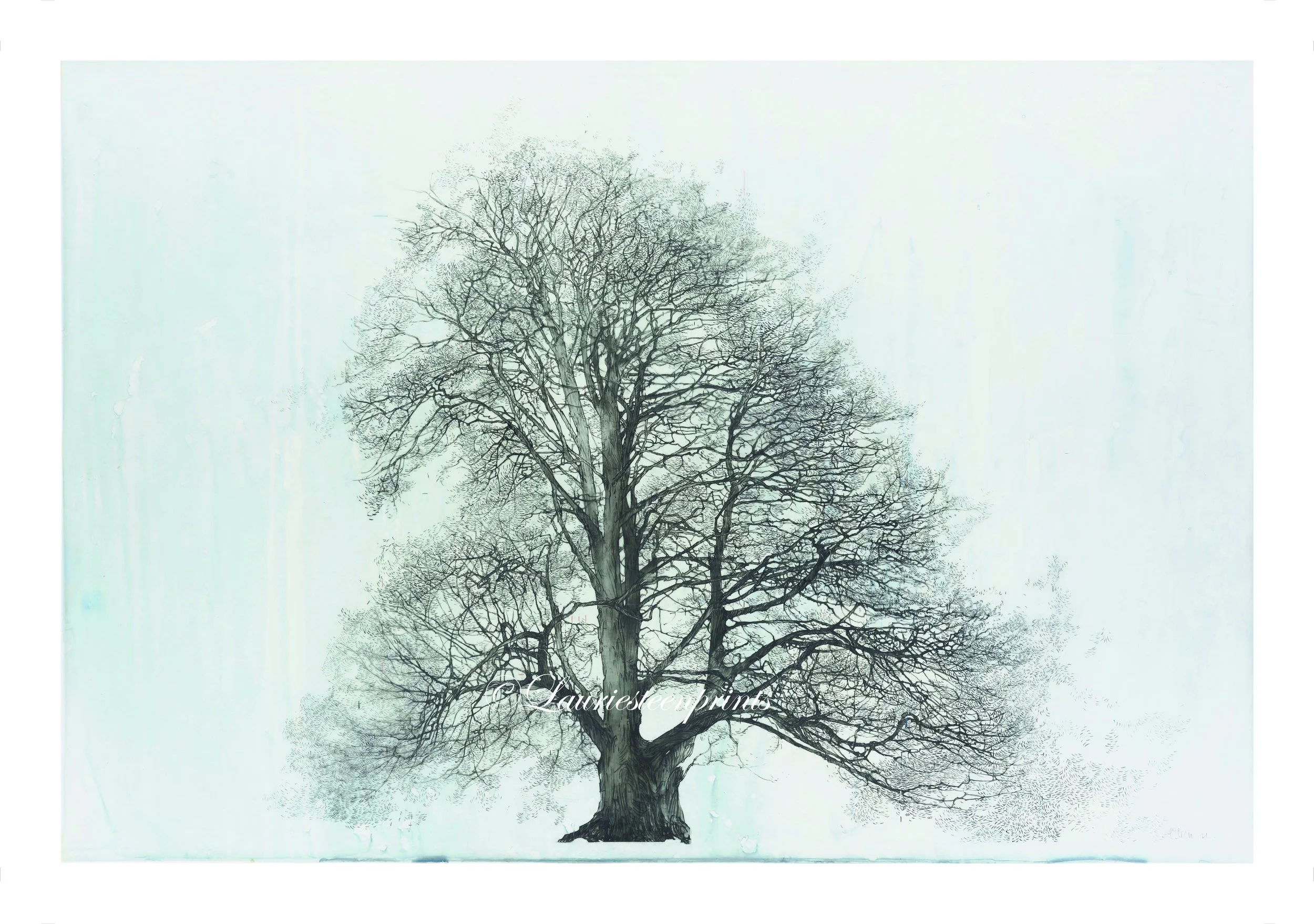 We are a shape the wind makes