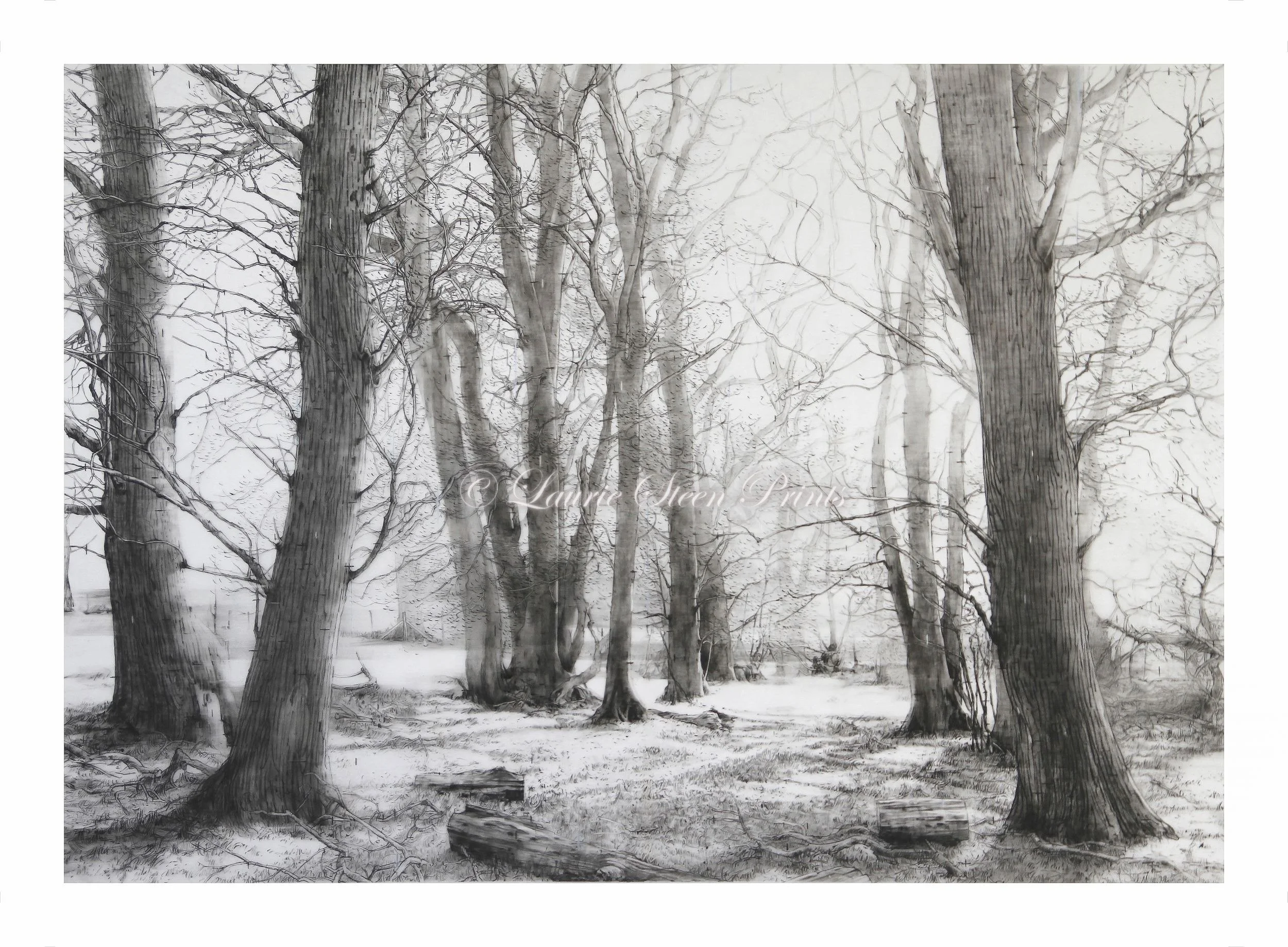 Something Fluttered About My Heart