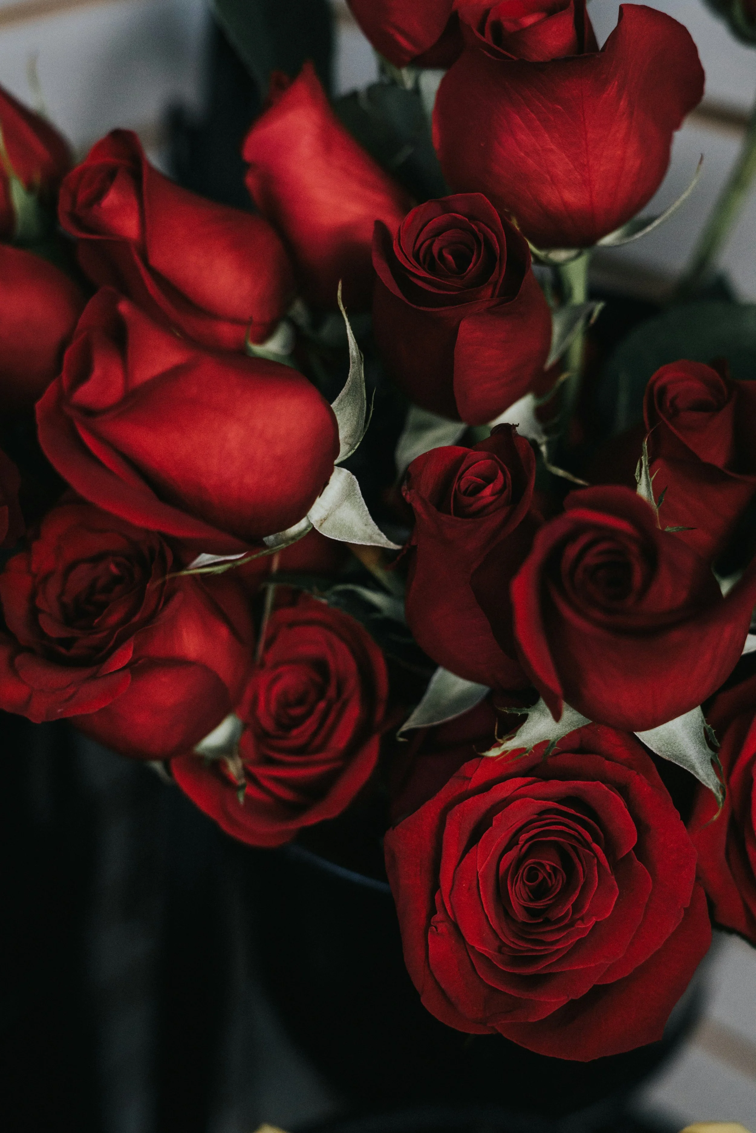 Valentine’s Day Pickup Lines to Make Them Blush (and Maybe More)
