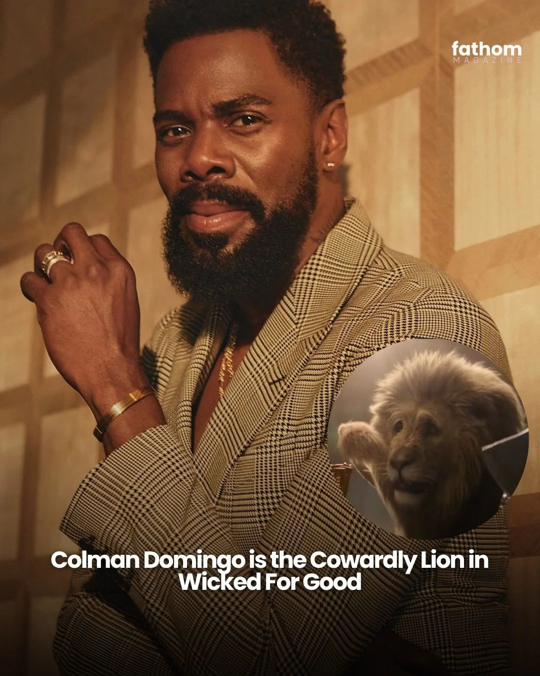 Colman Domingo has been officially announced as the voice of "The Cowardly Lion" in the sequel movie Wicked: For Good. 
The character is expected to have a much bigger role considering the casting of someone as iconic as Colman Domingo. Fa