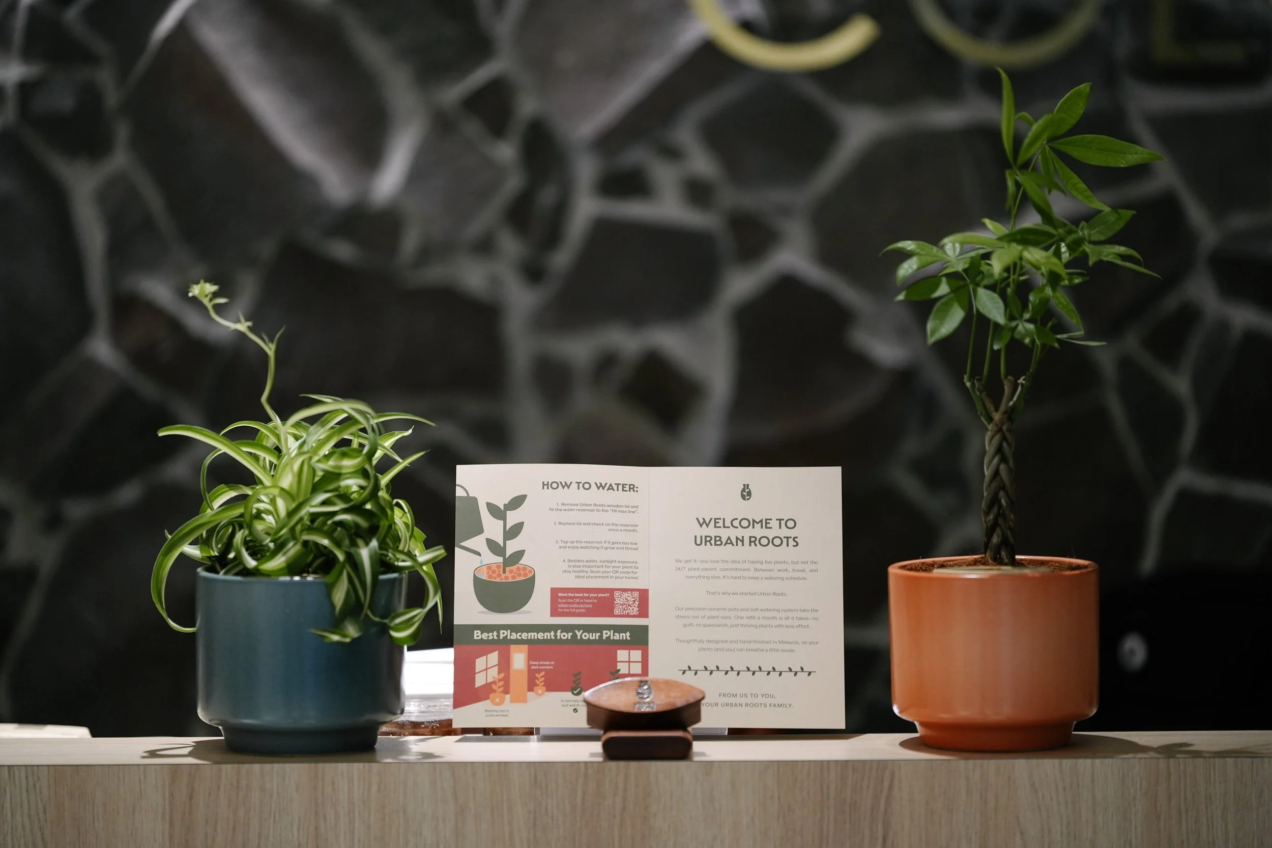 For City Dwellers With No Time: Meet Urban Roots and Its Self-Watering ...