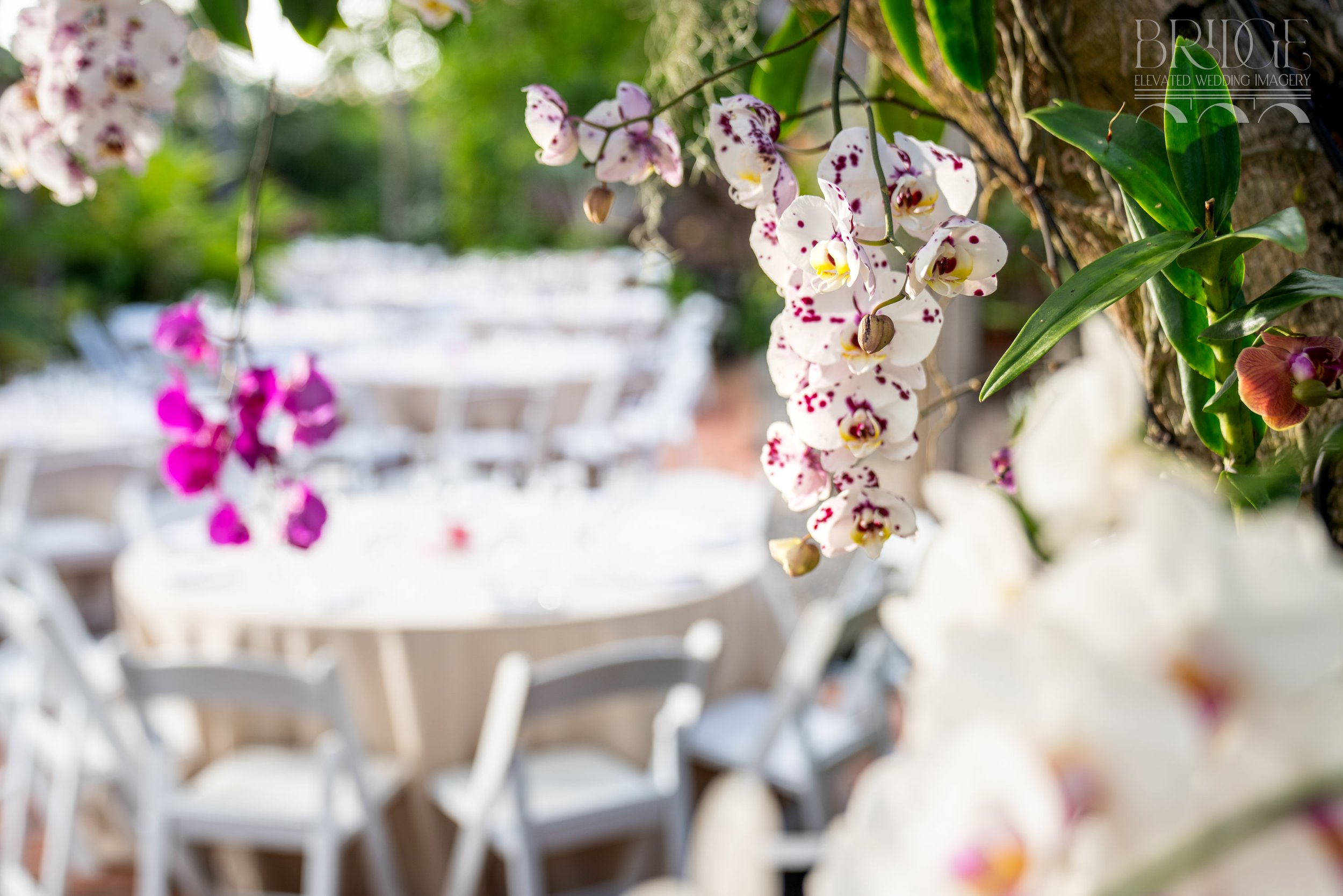 180-Key West Garden Club Wedding - decor, dedra and emiliano, details, garden club_LingSanchez_260411-564_13582-BridgeImagery.jpg