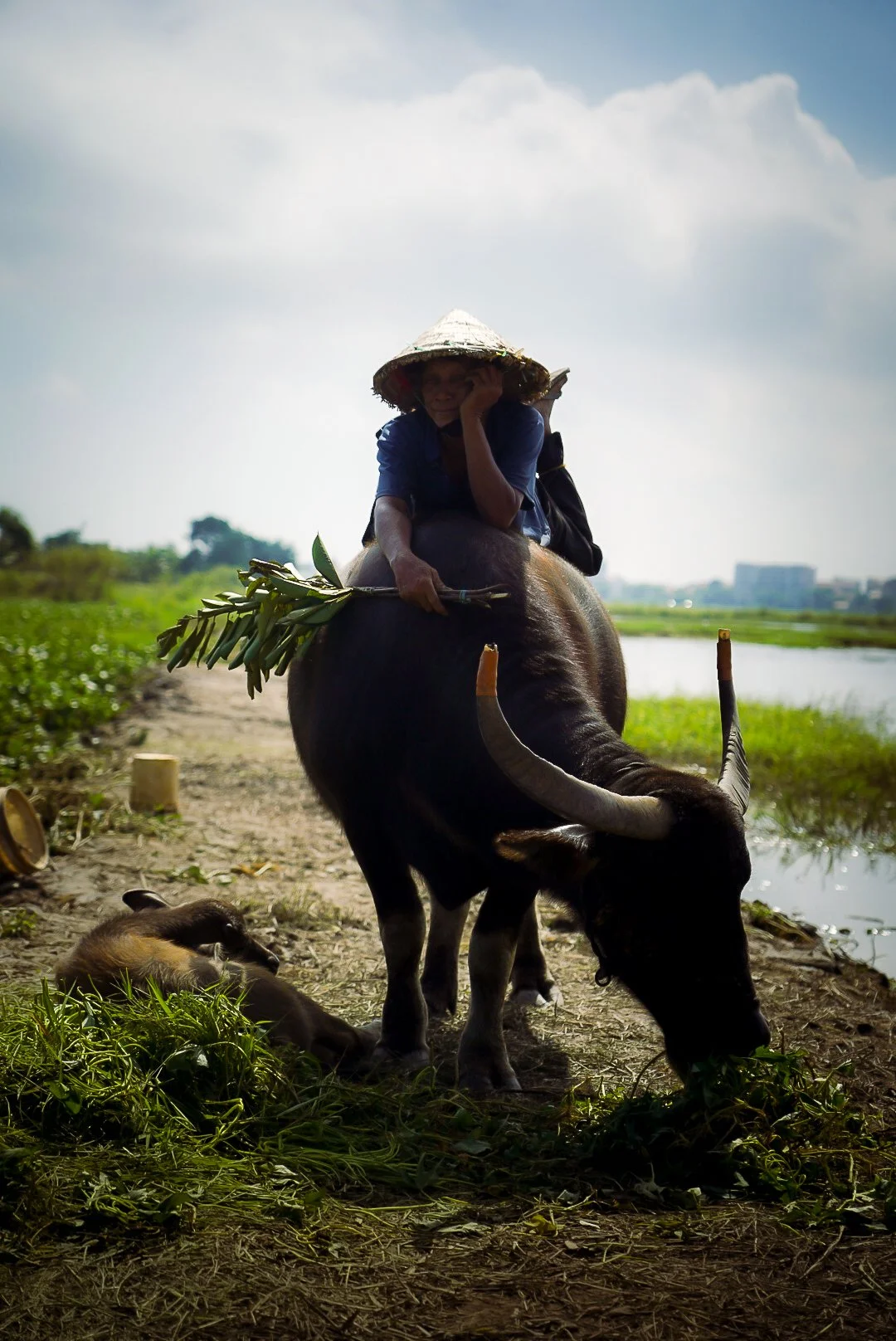 Honeymoon-41.jpg