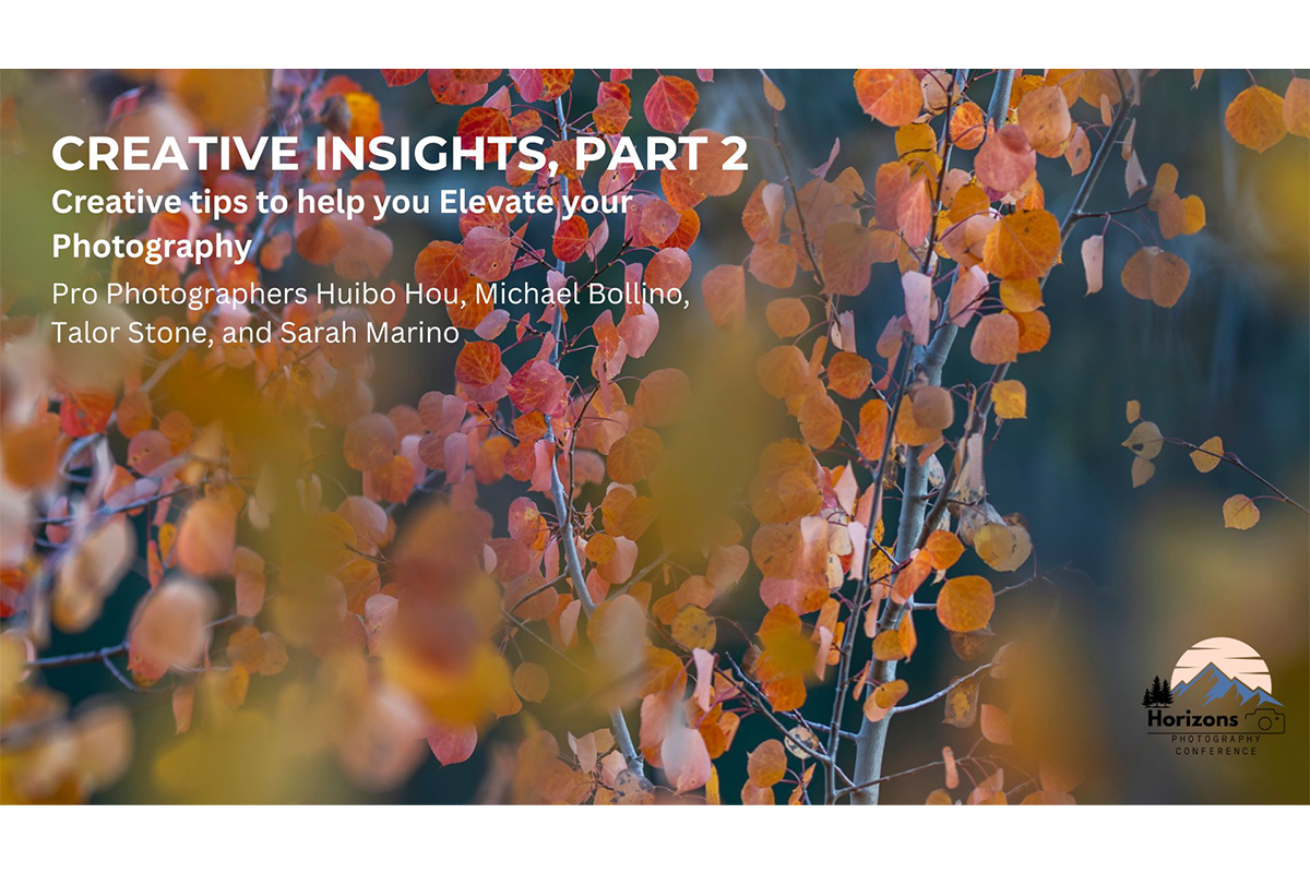 Creative Insights Webinar, Part 2