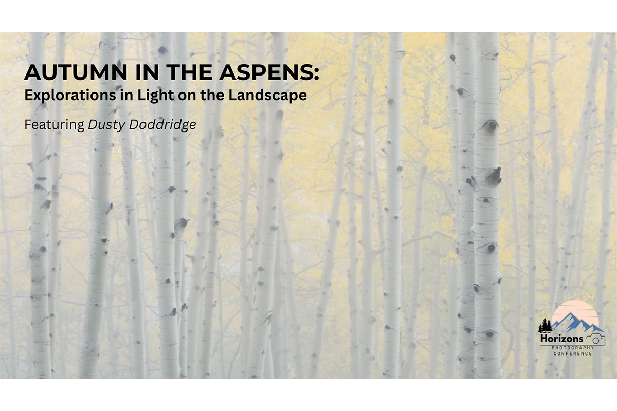 Autumn in the Aspens Webinar