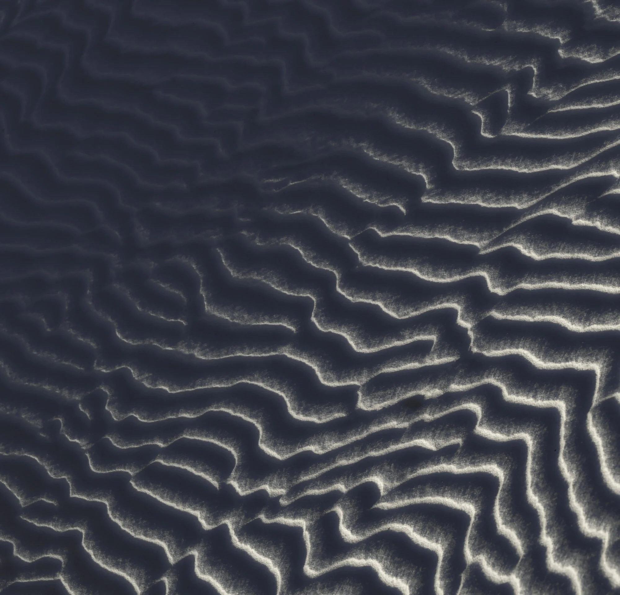 Close-up of dark sand dunes with sharp ridges and shadows cast by the setting or rising sun.