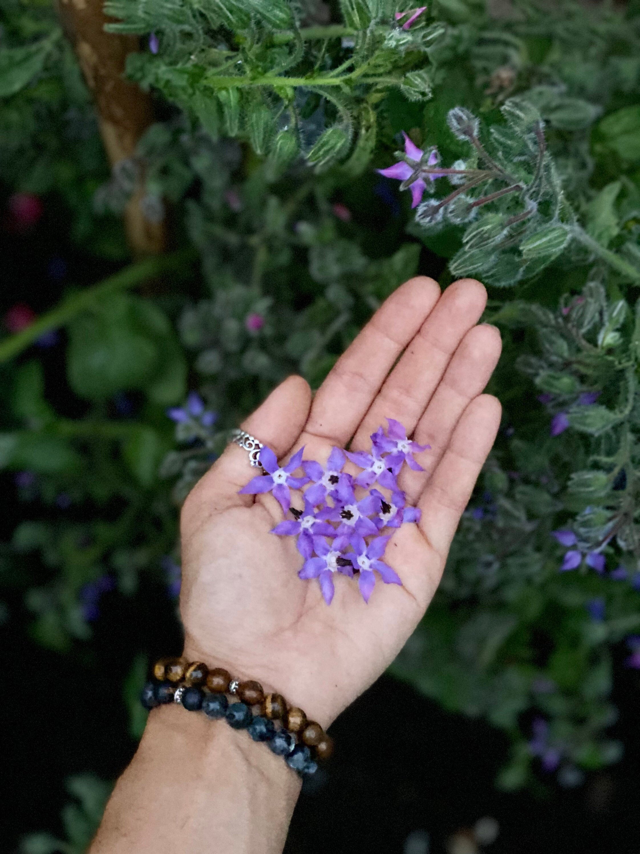 https://i.etsystatic.com/23504891/r/il/d2ef4b/3520338457/il_fullxfull.3520338457_lsr8.jpg