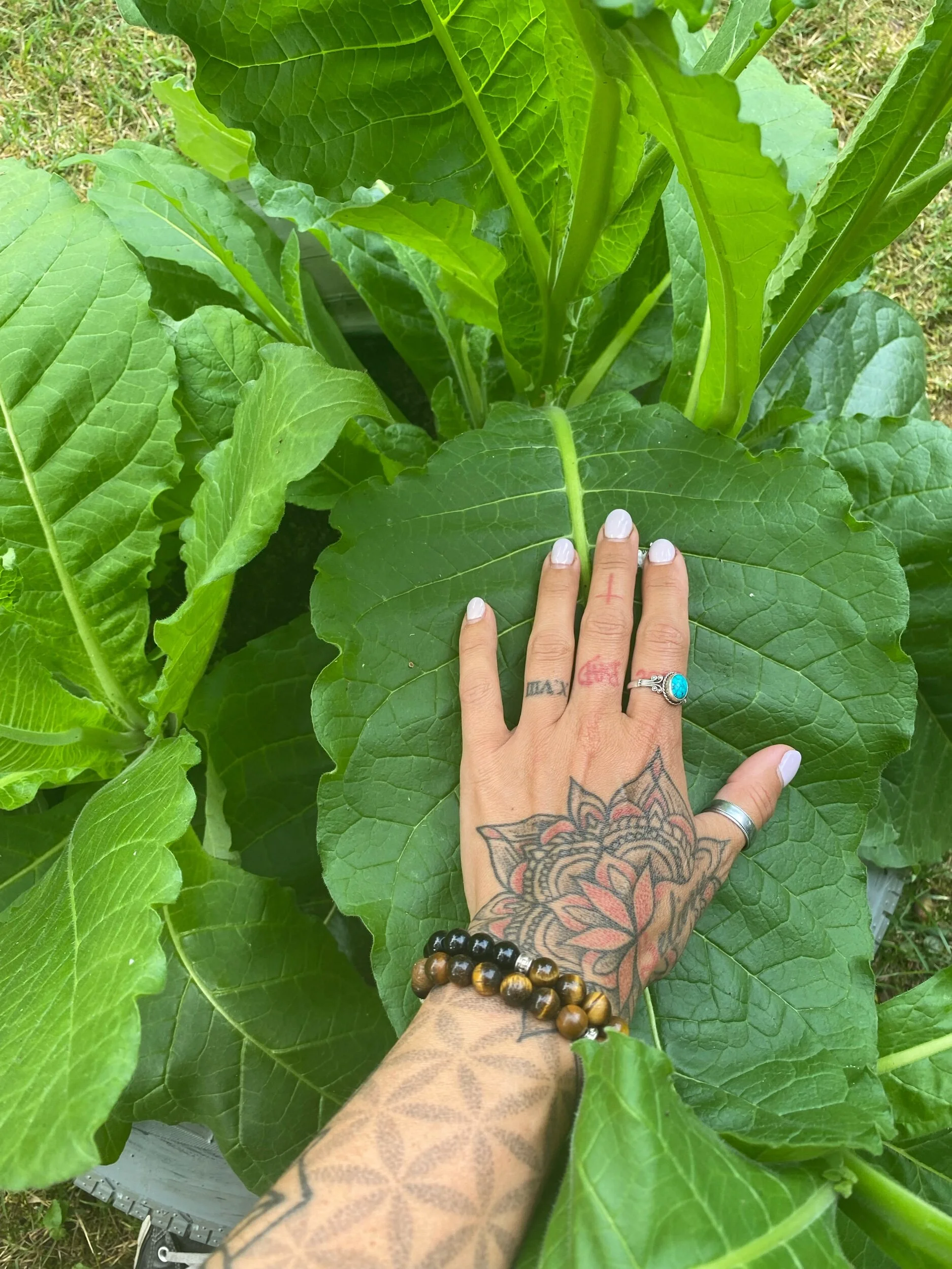 466D8048-D206-4CBC-8B07-FB754062C9AD