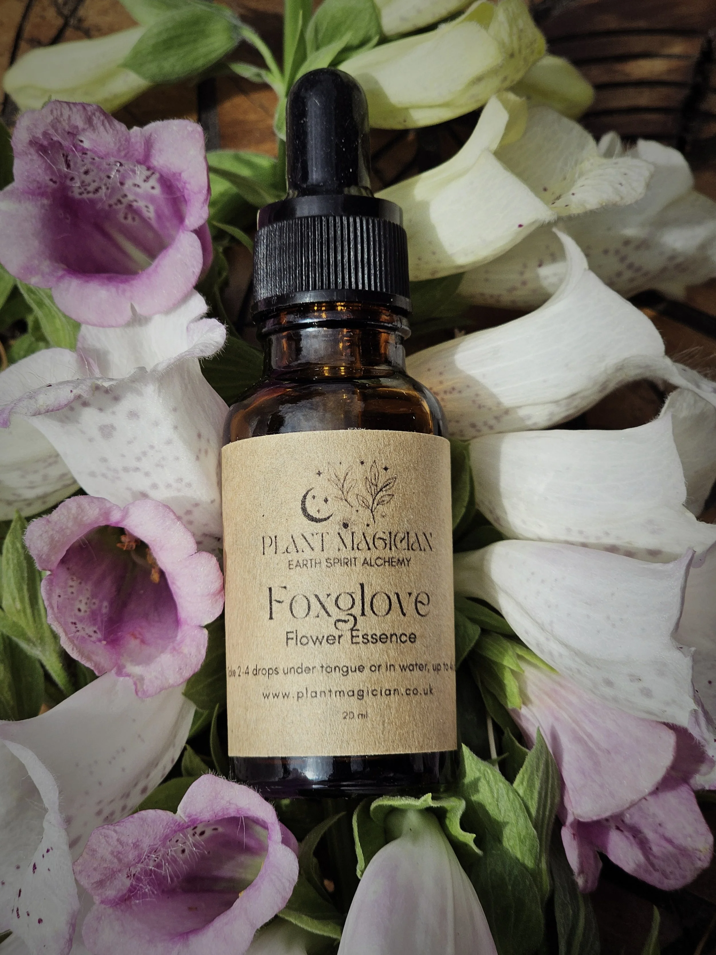 Foxglove Flower + Forest Essence / Medicine of the heart, inner child + joy
