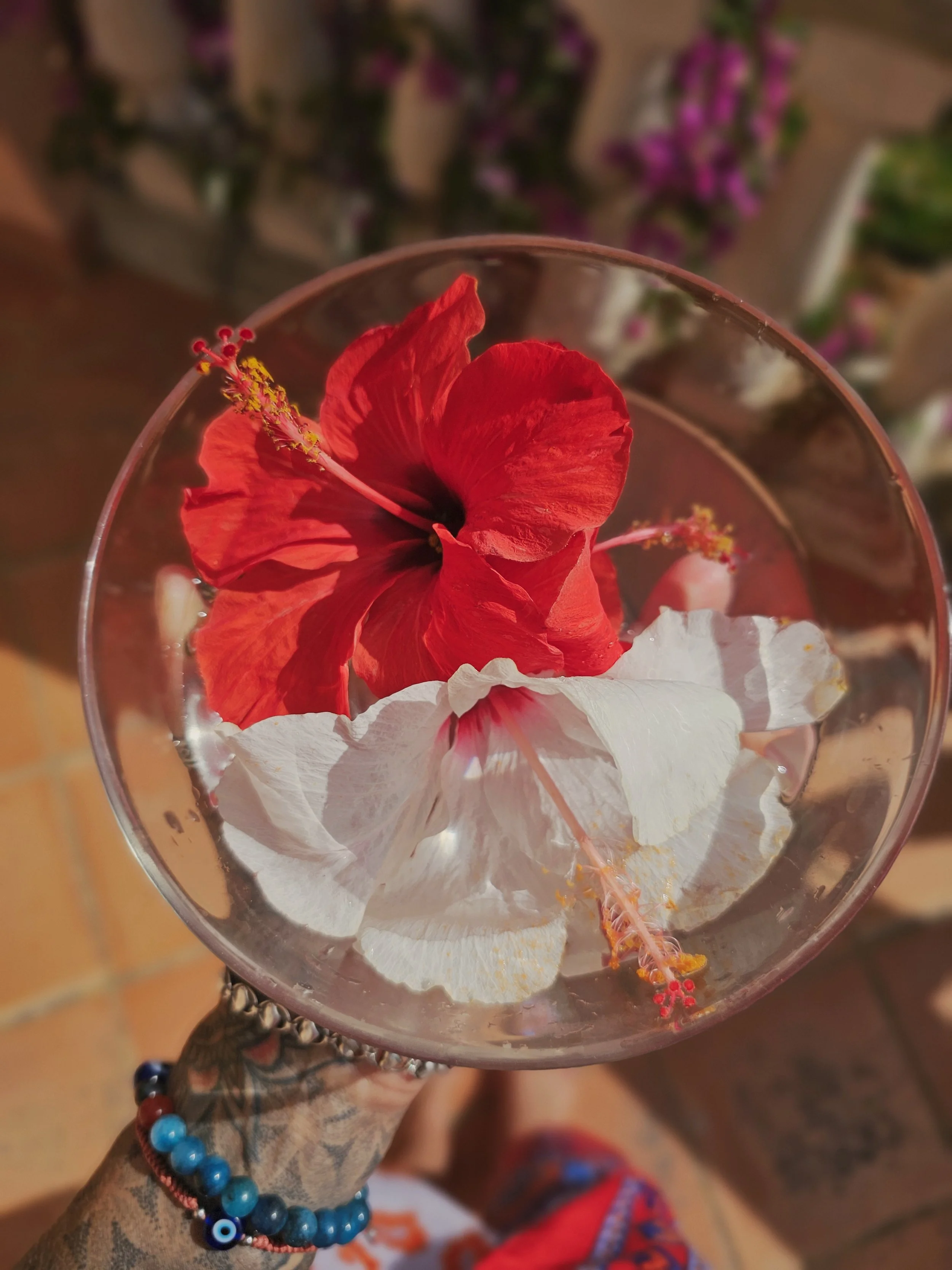 Hibiscus Flower Essence // sacral energy healing, creative, passion + joy