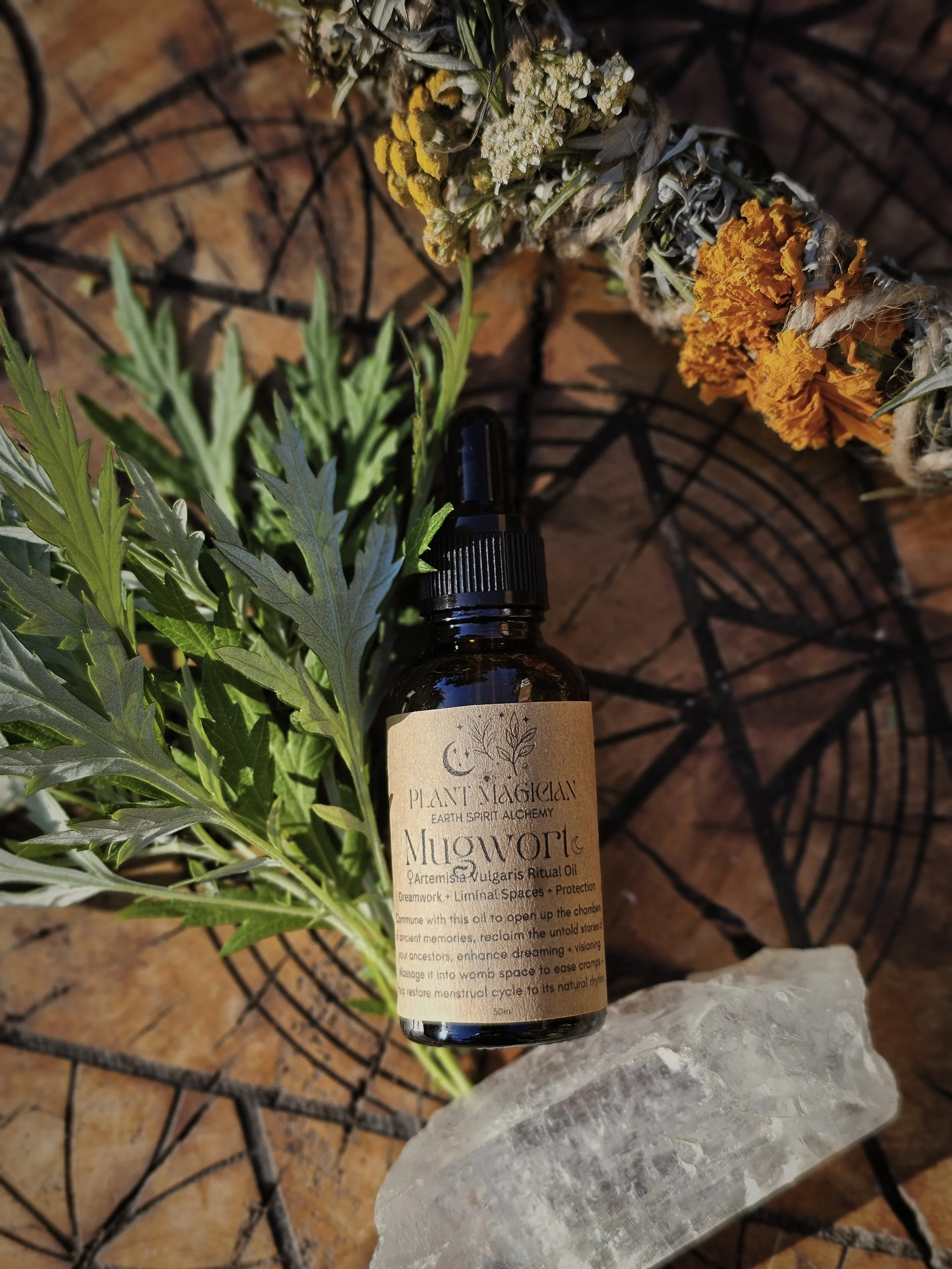 Mugwort Ritual Oil (womb, dreamwork, protection)