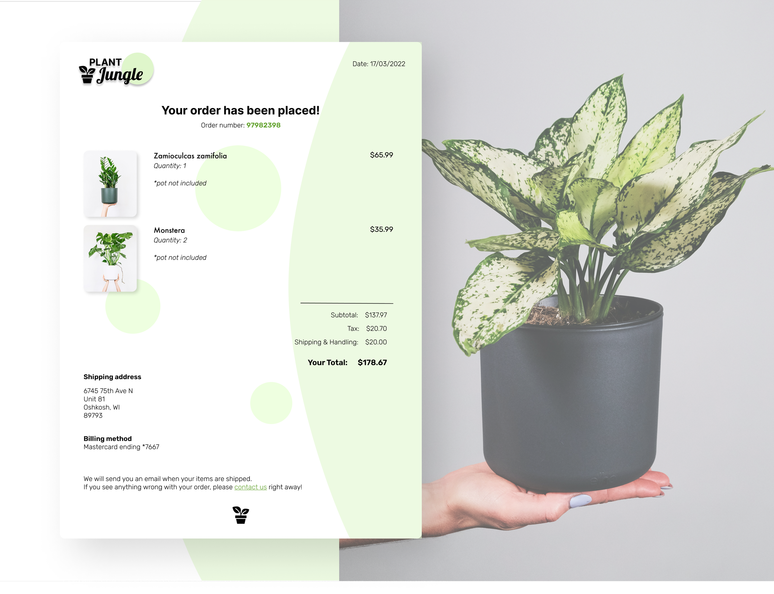 A hand holding a black pot with a potted plant featuring green and cream variegated leaves, next to a digital order receipt for two plants on a light background.