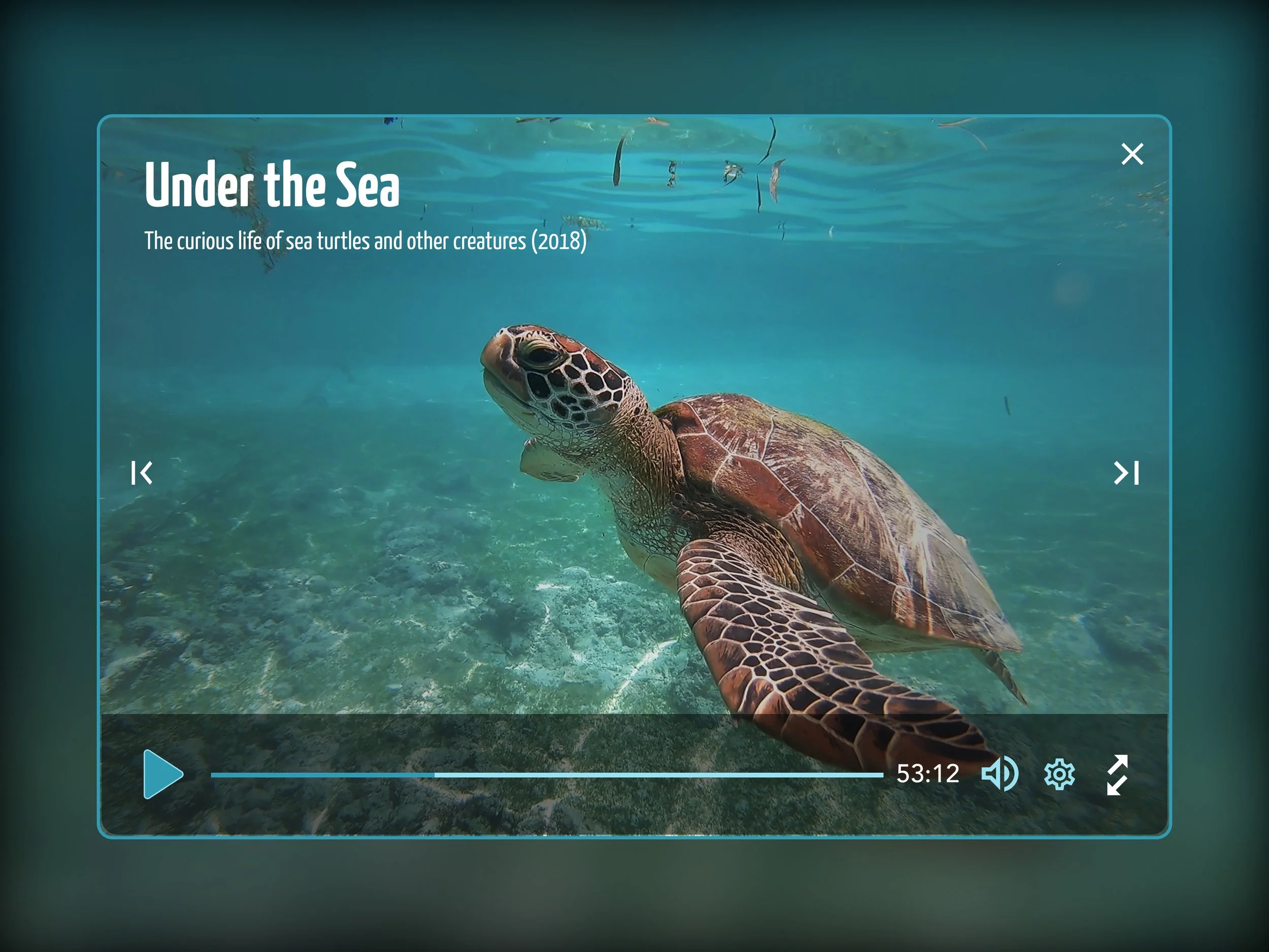 A sea turtle swimming underwater near the ocean floor, with a title overlay reading "Under the Sea" and a subtitle "The curious life of sea turtles and other creatures (2018)."