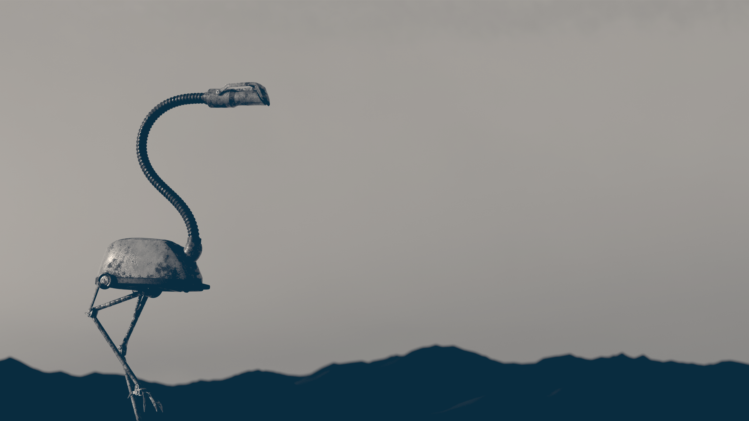 Flamingo_Wit_2.png