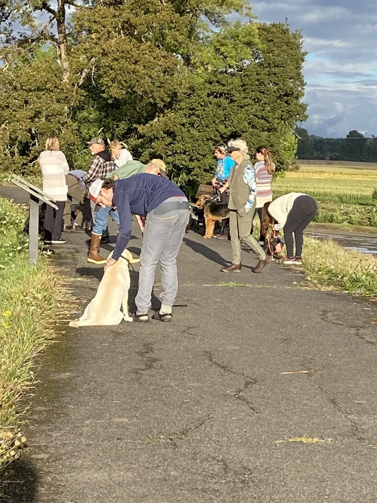 Sauvie Island Kennels