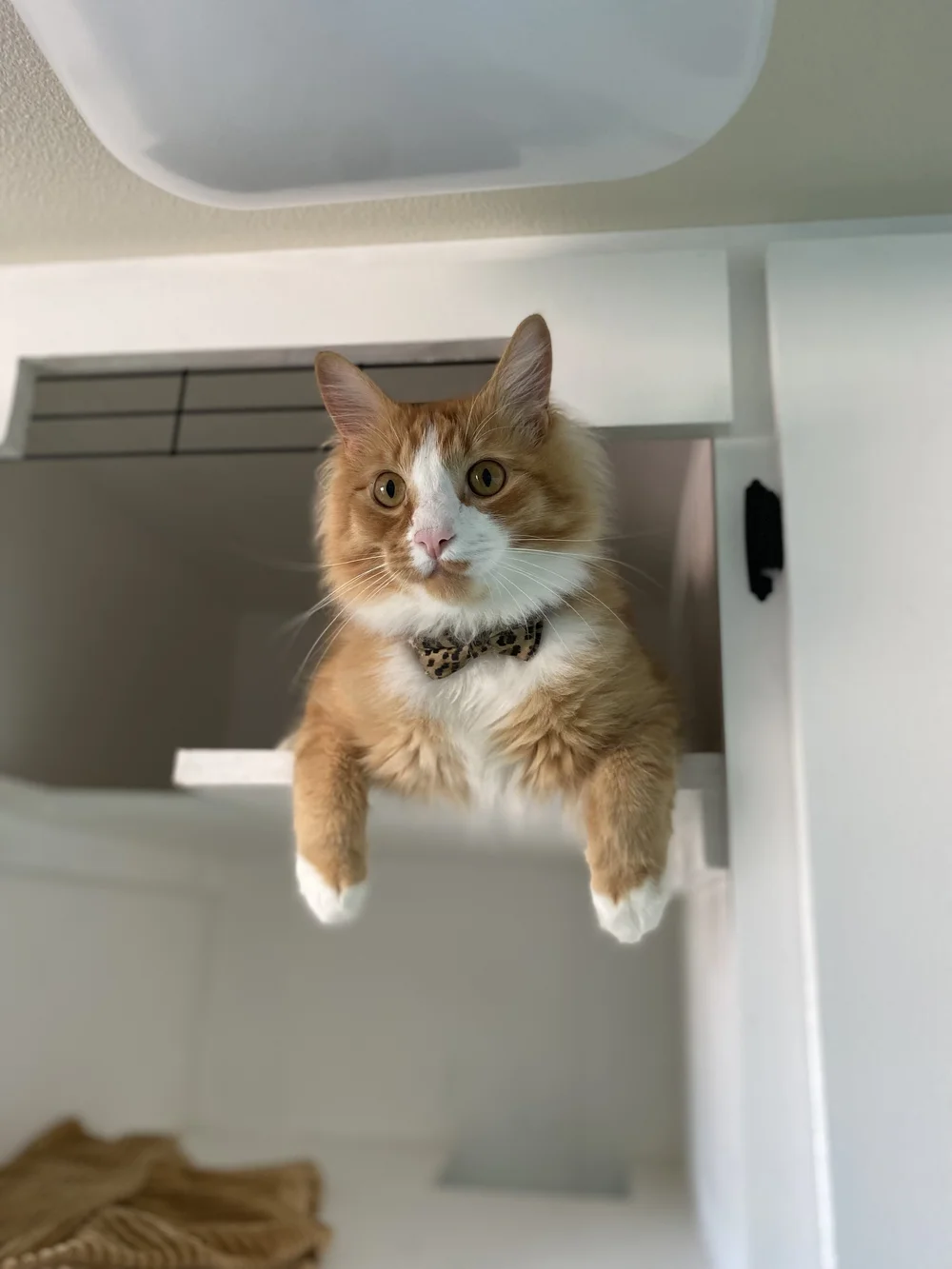 Meet Our Team — Sauvie Island Kennels