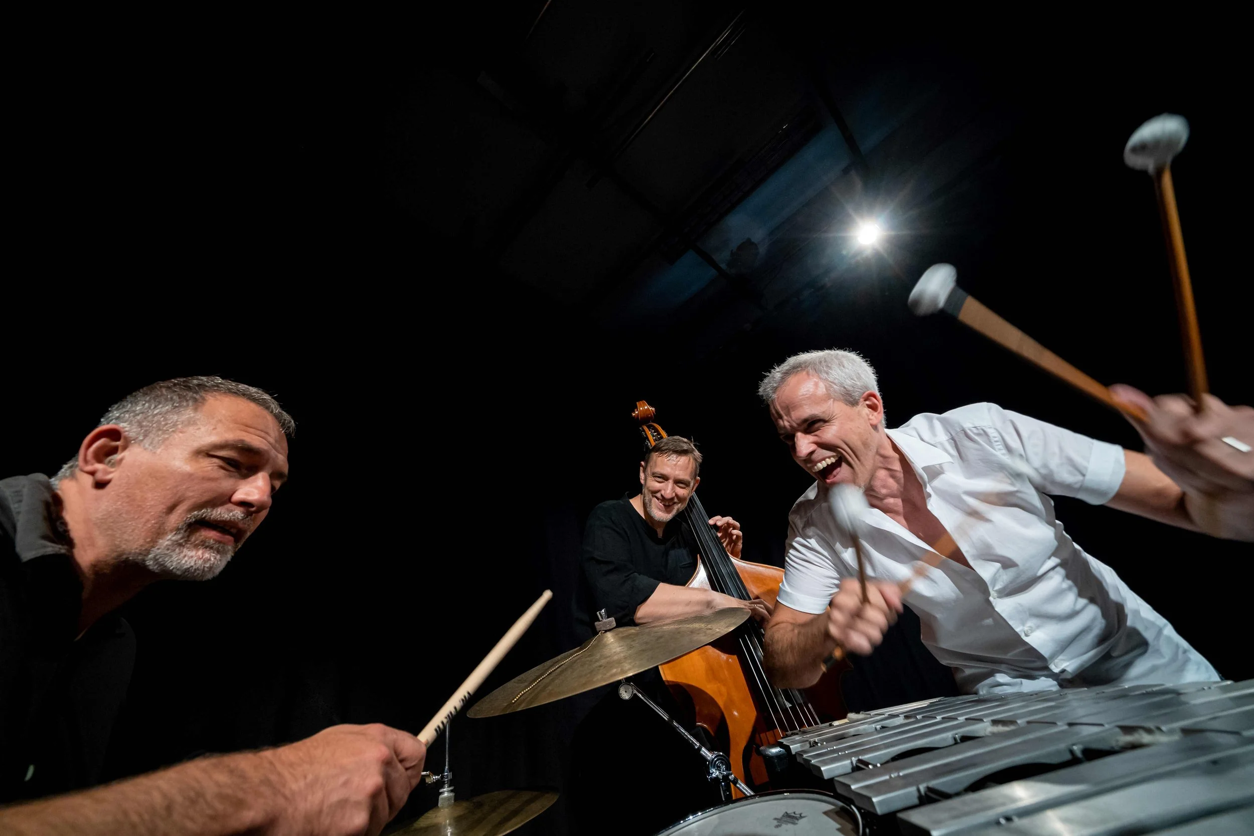 OLI BOTT TRIO - Chronicles of Jazz
