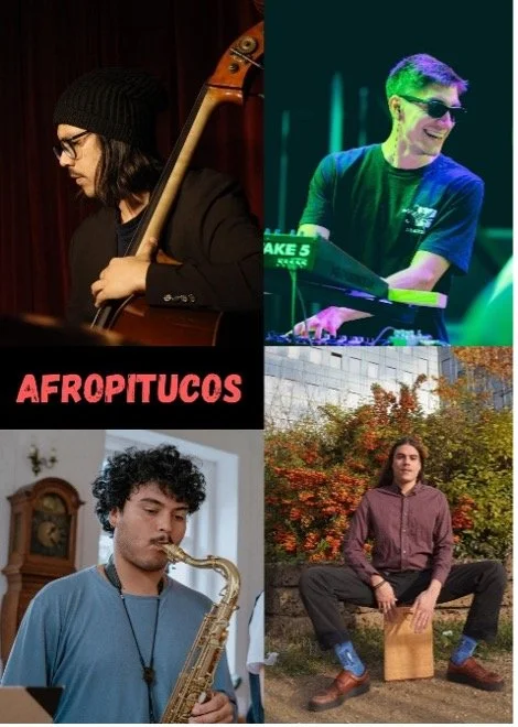 AFROPITUCO