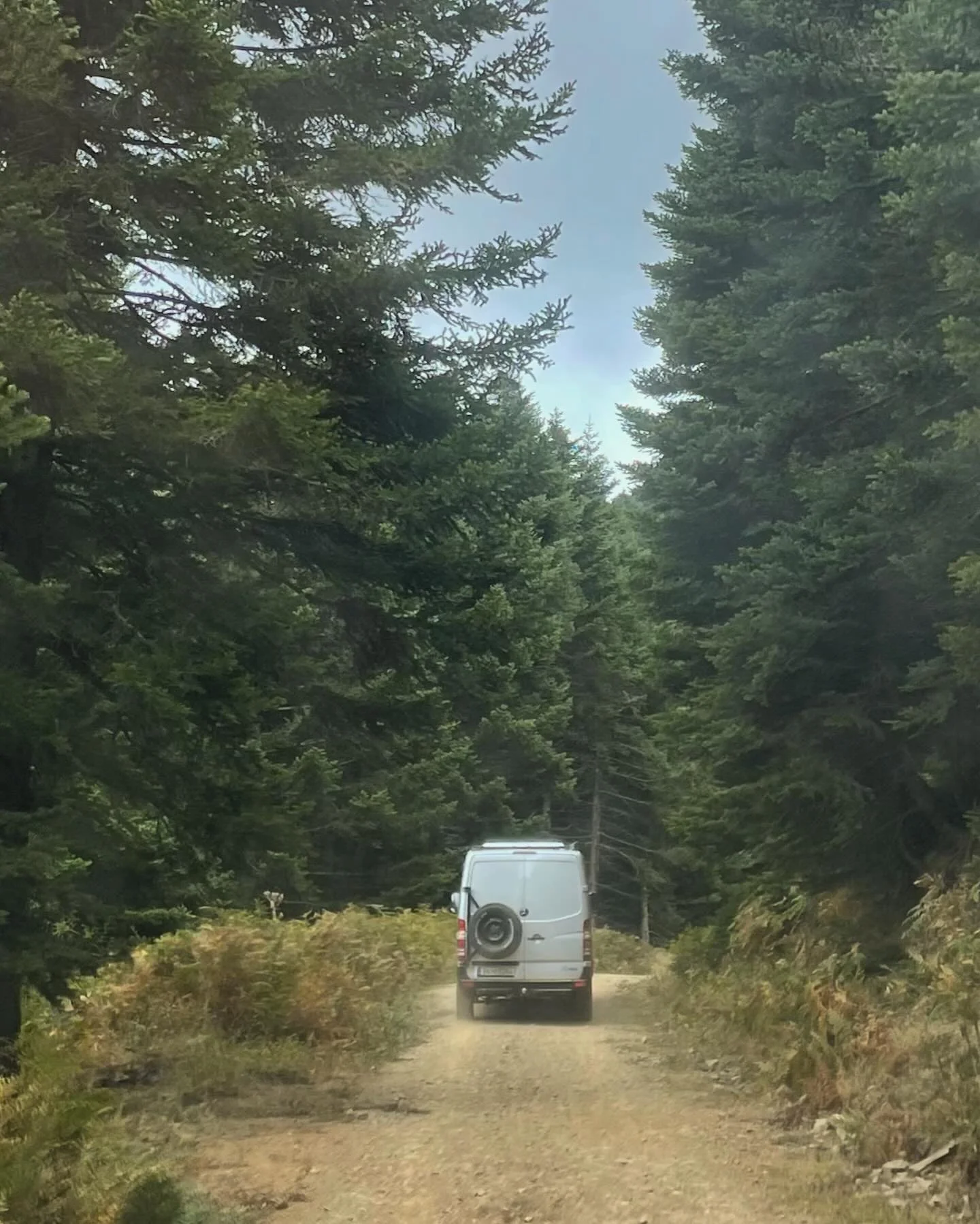 Just ride your van&hellip; 

#sprintervan #homeonwheels #adventurevan #campervan #camper