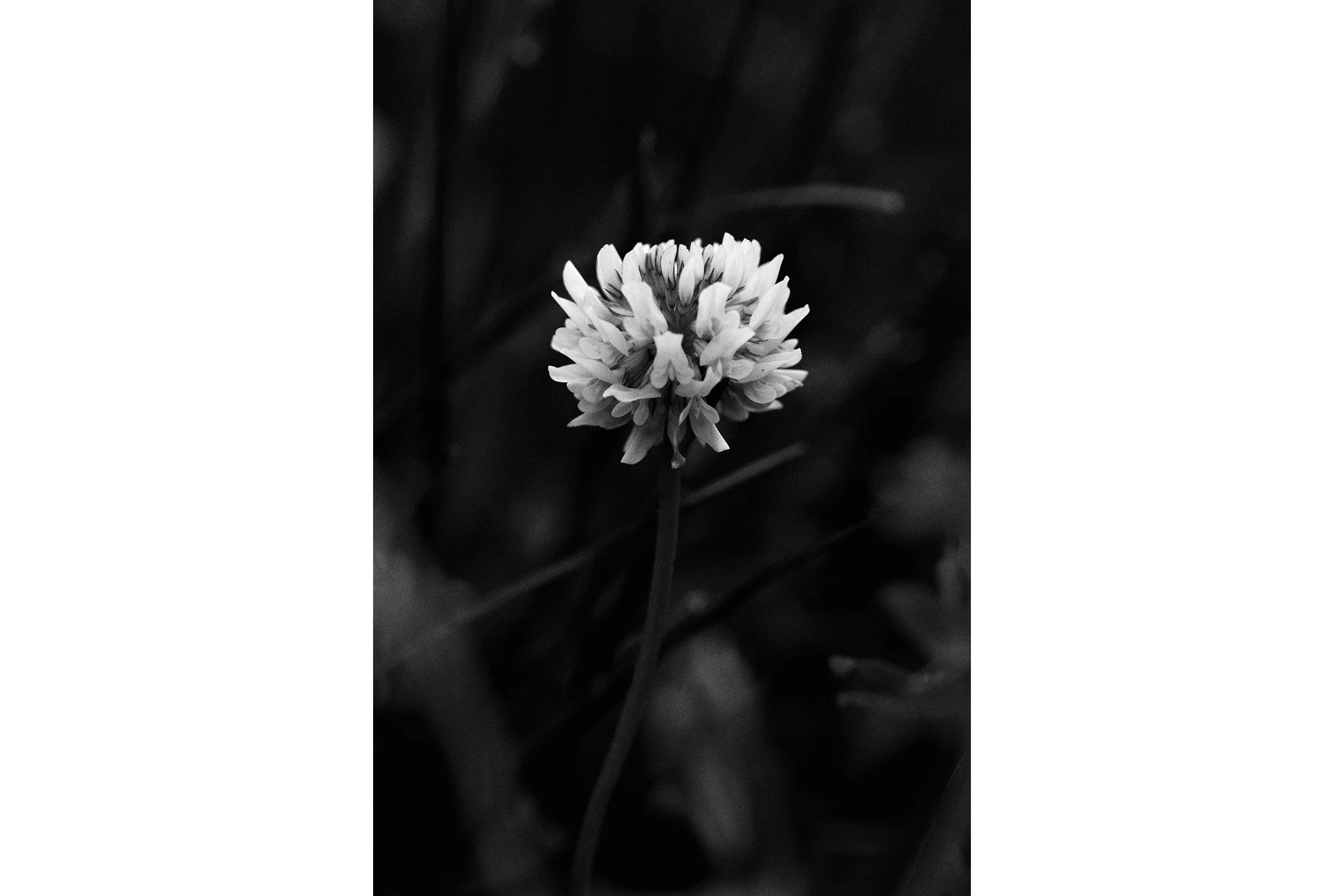 awitp-03-solo.jpg