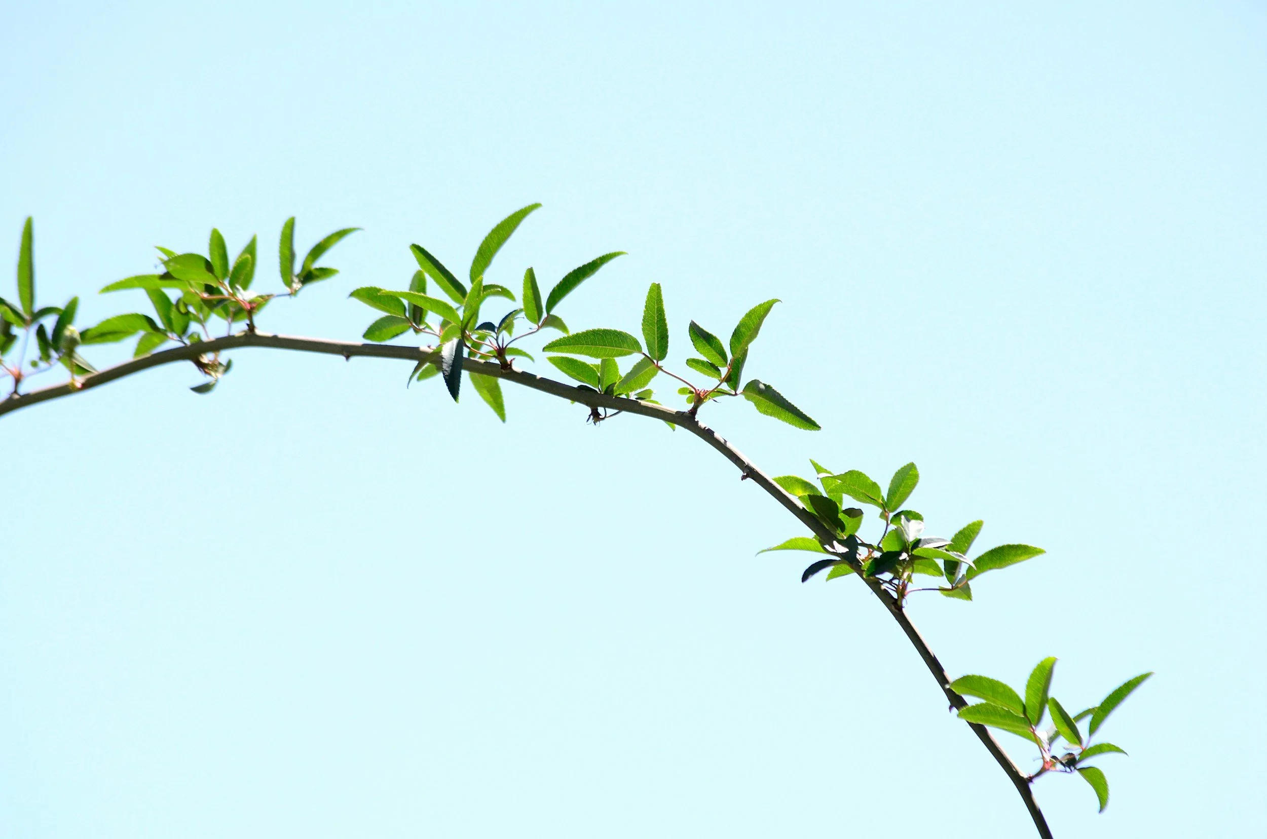 Sustainability Compliance Solution