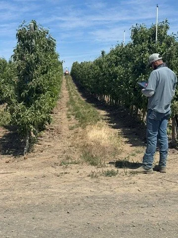 Orchard Demonstration.jpg