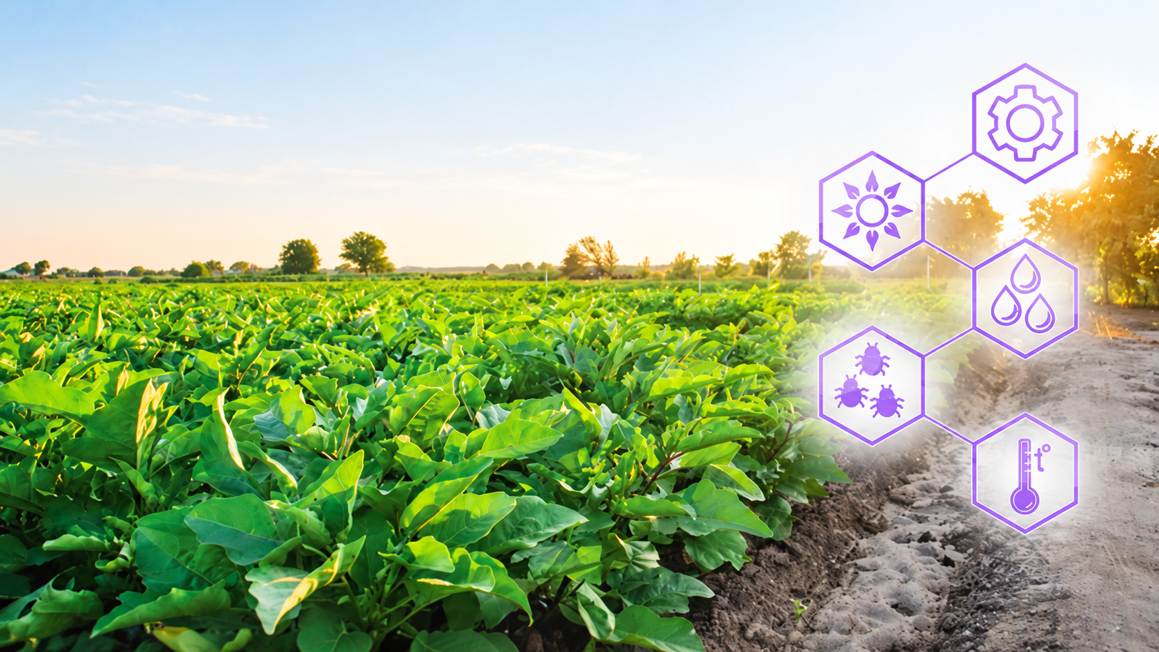 The Business Value of Sustainability