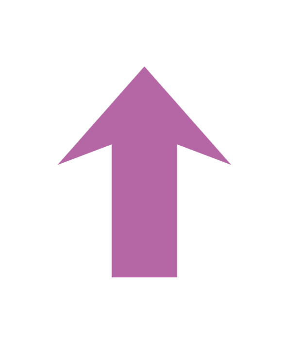 Scroll to Top