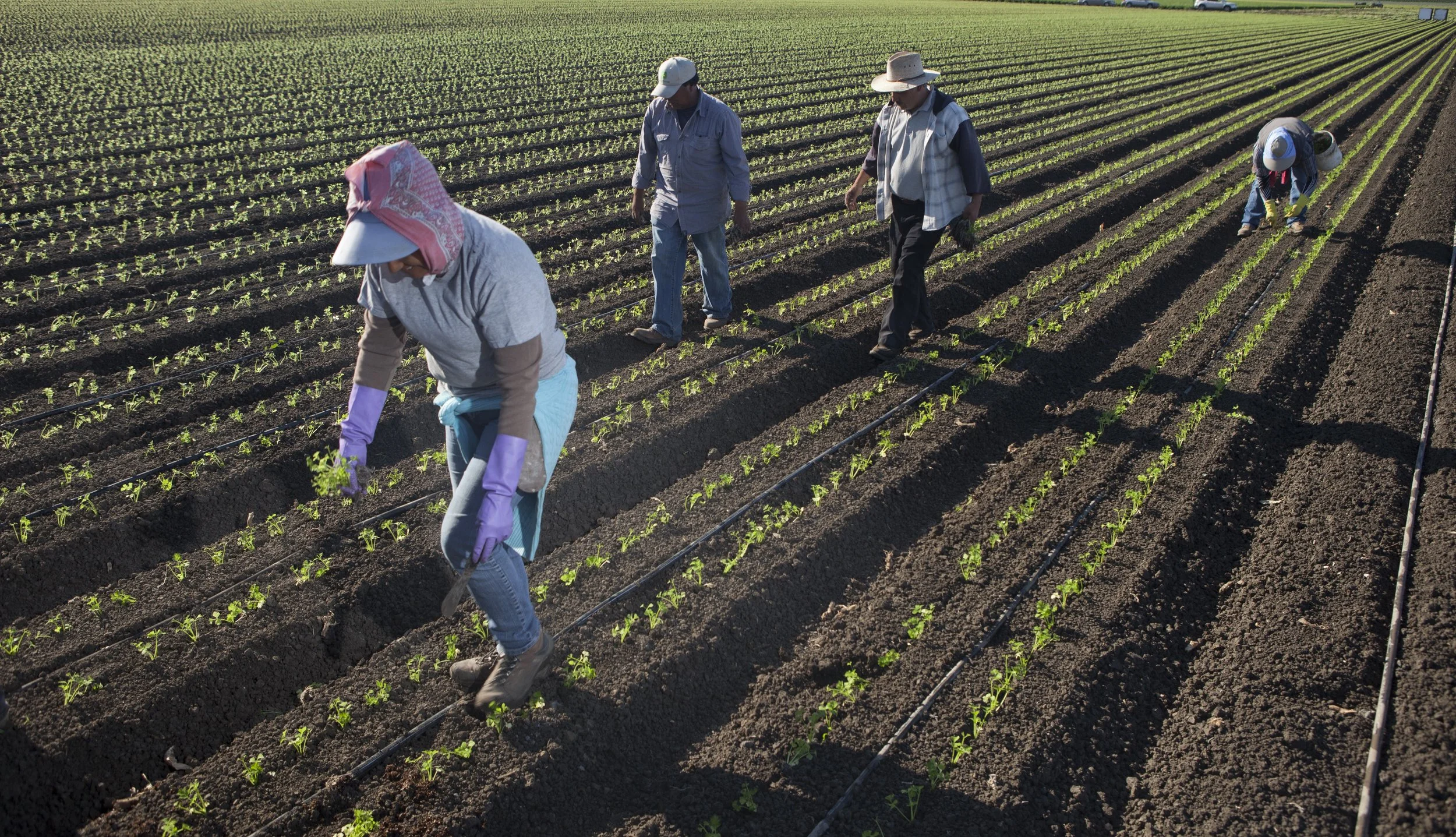 Why “Checking the Box” on Sustainability Compliance Is Risky