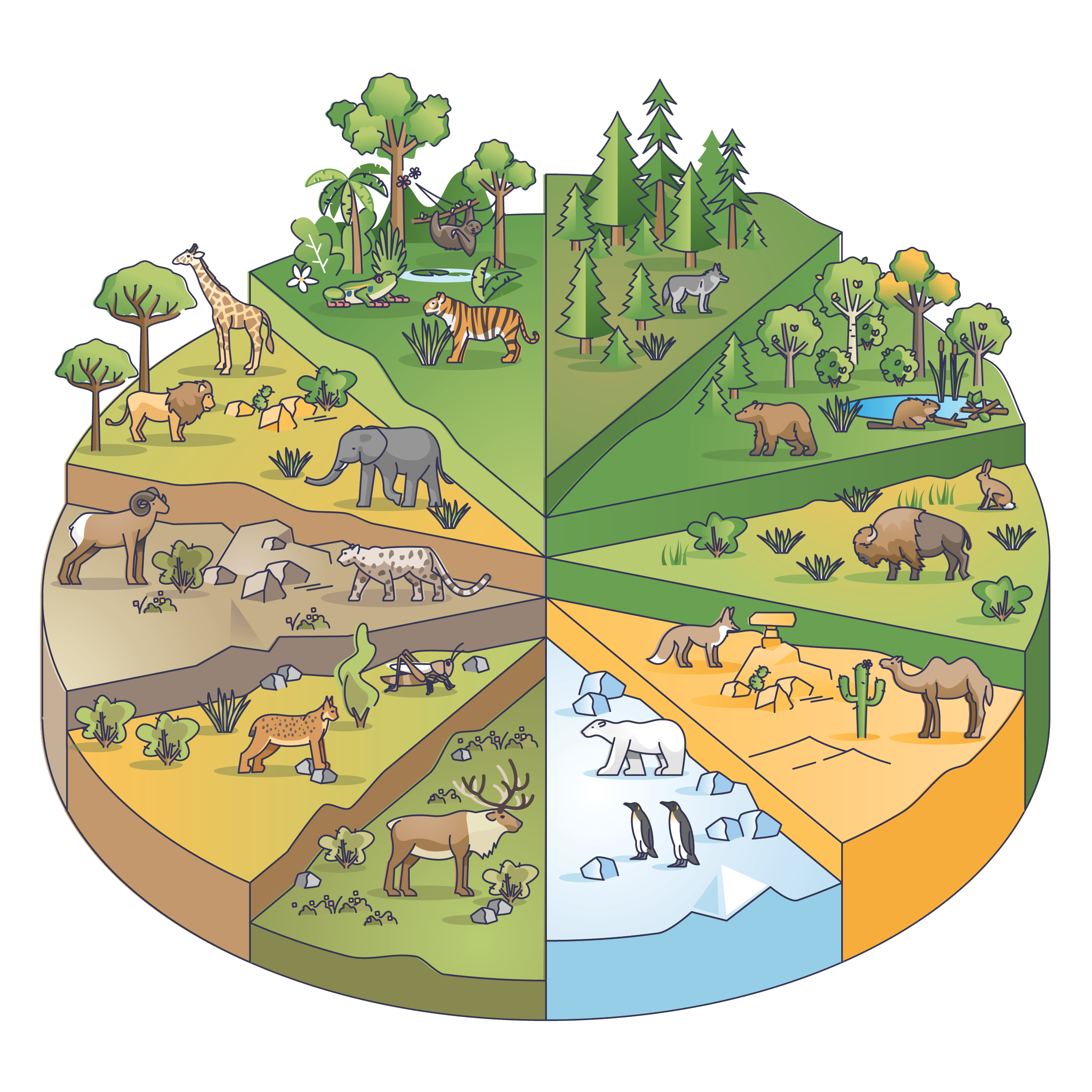 Ecology