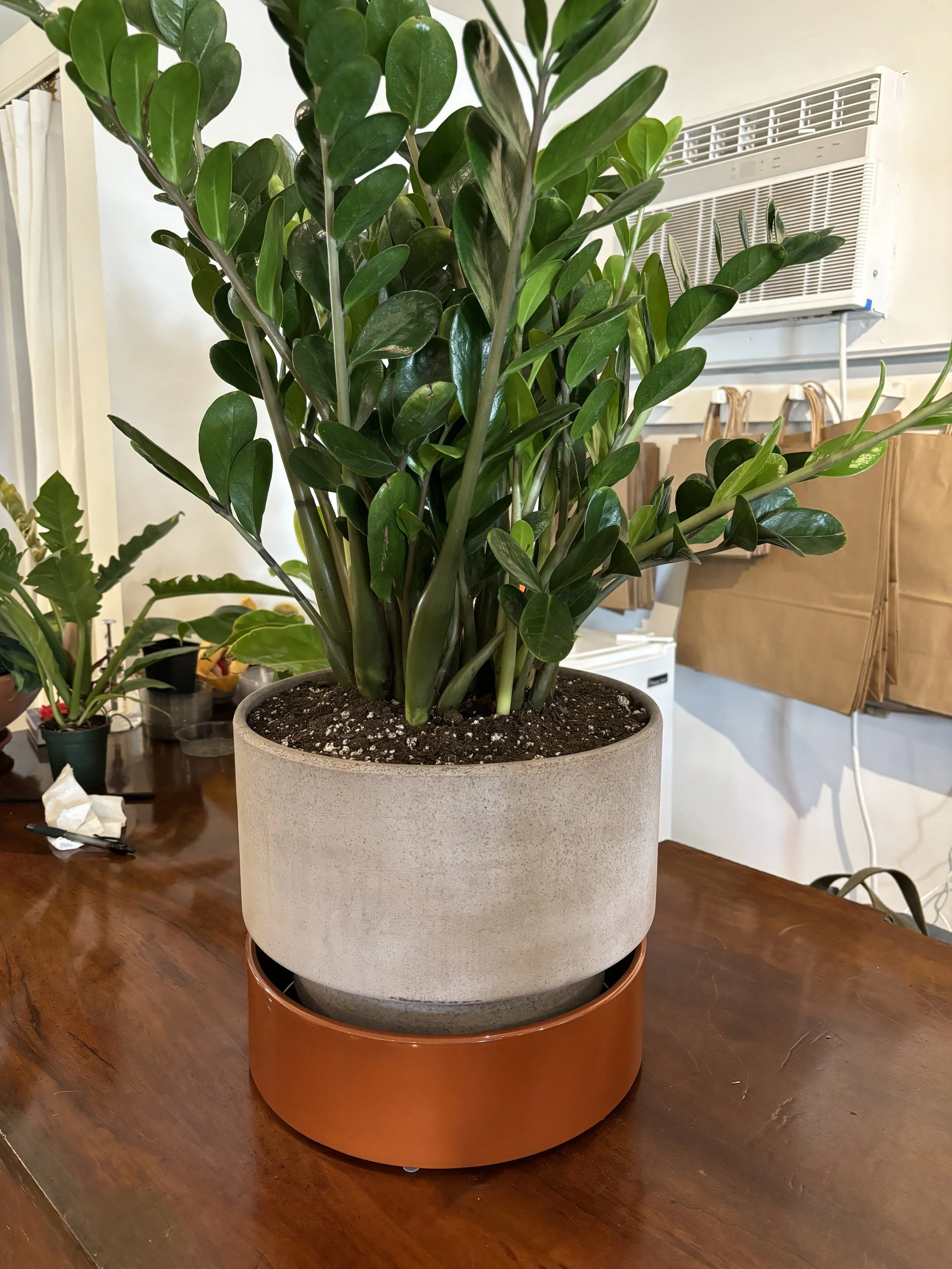 Bergs potter, hoff pot