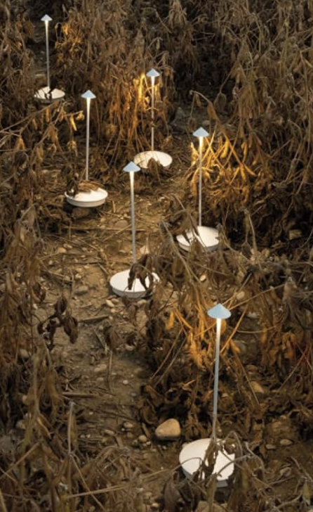 focused reading + craft light
battery life: 8.5 hours