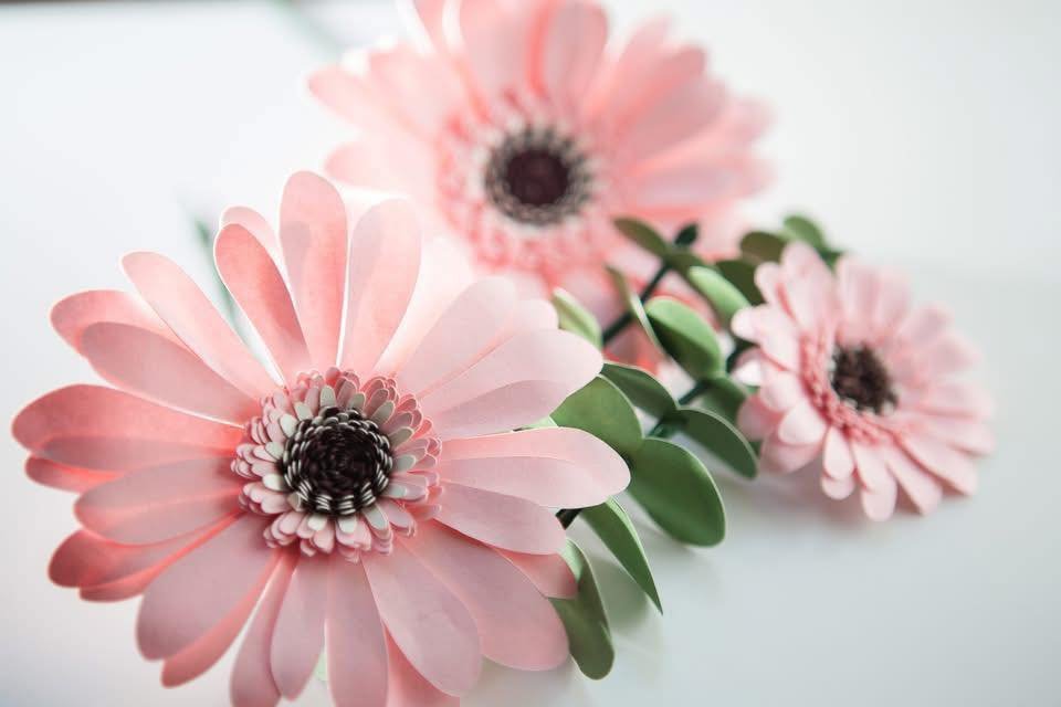 Hey y&rsquo;all!

If you&rsquo;re looking for a super fun new experience with your friends, my paper prefer workshop would be perfect for you this Sunday ❤️🌼❤️

I am hosting a paper craft workshop where we&rsquo;re gonna be making Gerber daisies. Th